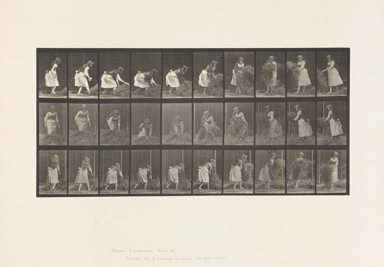 Tafel 458. Heuhaufen heben, drehen, werfen von Eadweard Muybridge