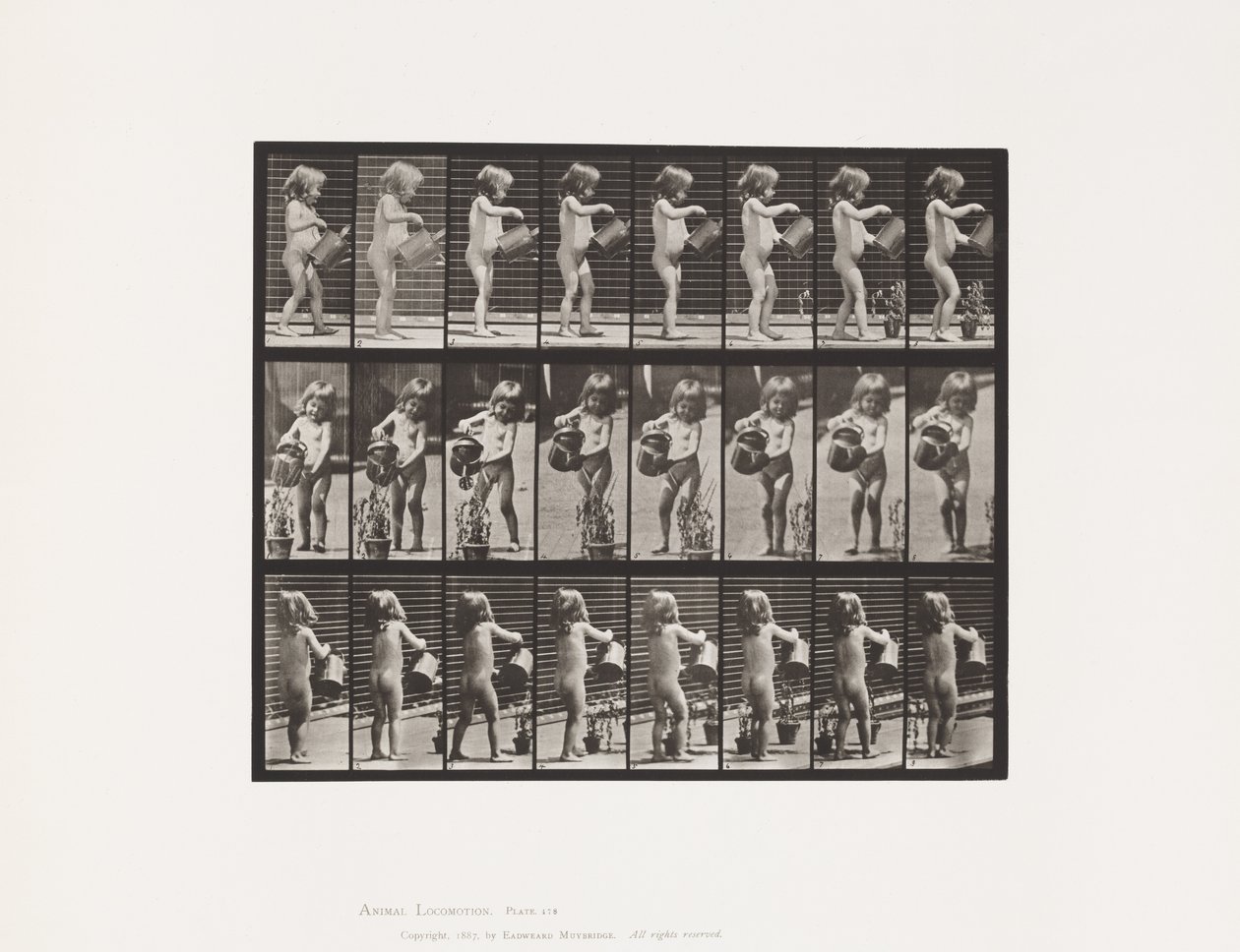 Kind, besprengt Blumen mit Wasser, 1885 von Eadweard Muybridge