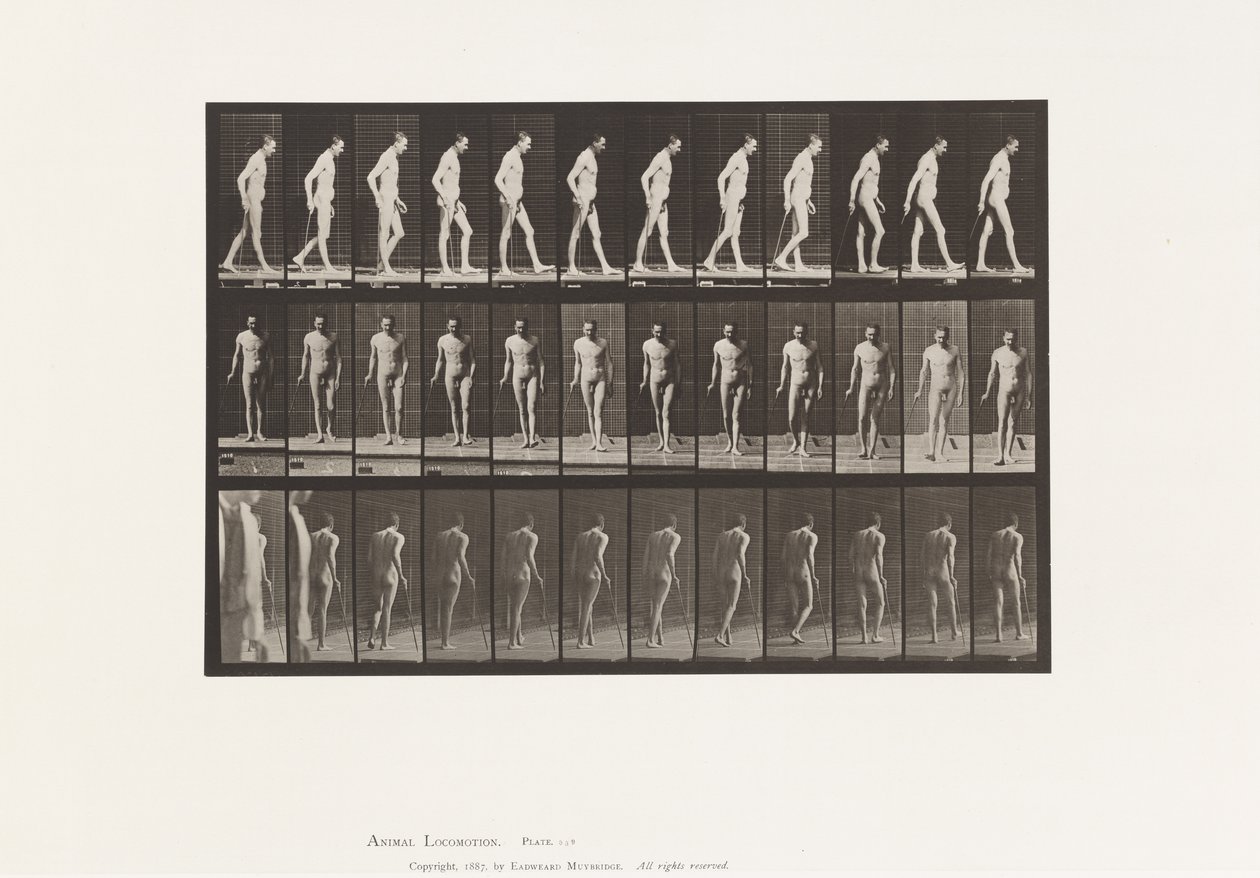 Tafel 559. Verbreitete Sklerose; Gehen mit Stock von Eadweard Muybridge
