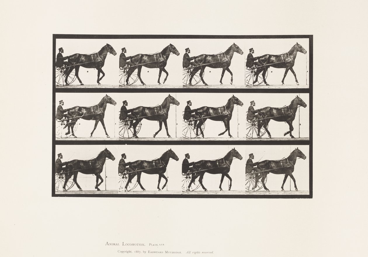 Tafel 588. Gehen; Sulky; Braunes Pferd Reuben von Eadweard Muybridge