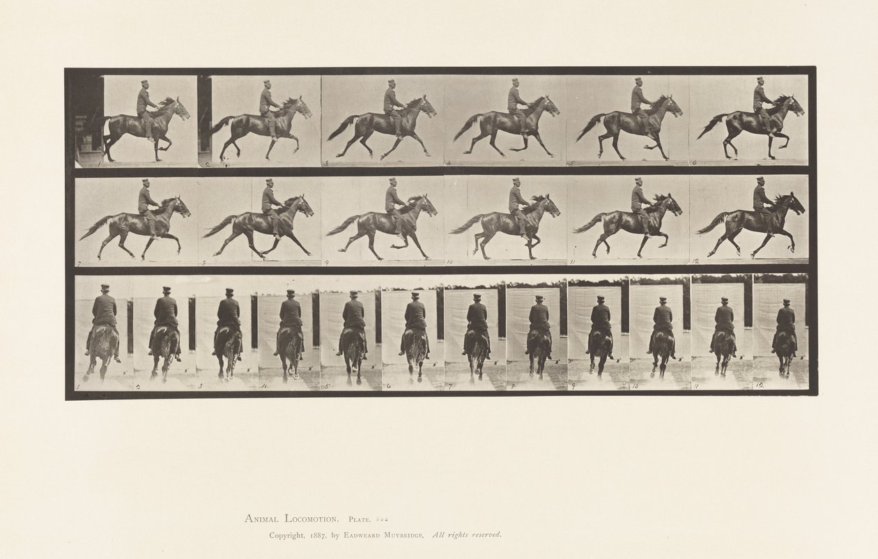 Tafel 592. Schaukelnd (Passgang): Sattel; Braunes Pferd Pronto von Eadweard Muybridge