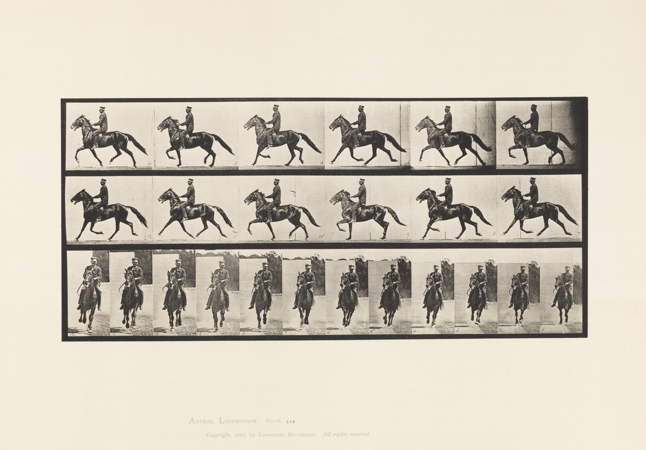Tafel 593. Schaukelnd (Passgang): Sattel; Braunes Pferd Pronto von Eadweard Muybridge