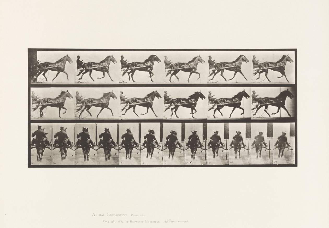 Tafel 594. Schaukelgang (Passgang): Sulky; Braunes Pferd Pronto von Eadweard Muybridge