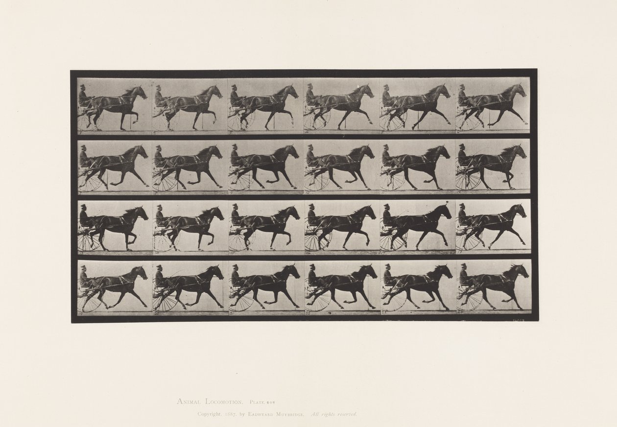 Tafel 608. Trabend; Sulky; Fuchsfarbene Stute Flode Holden von Eadweard Muybridge