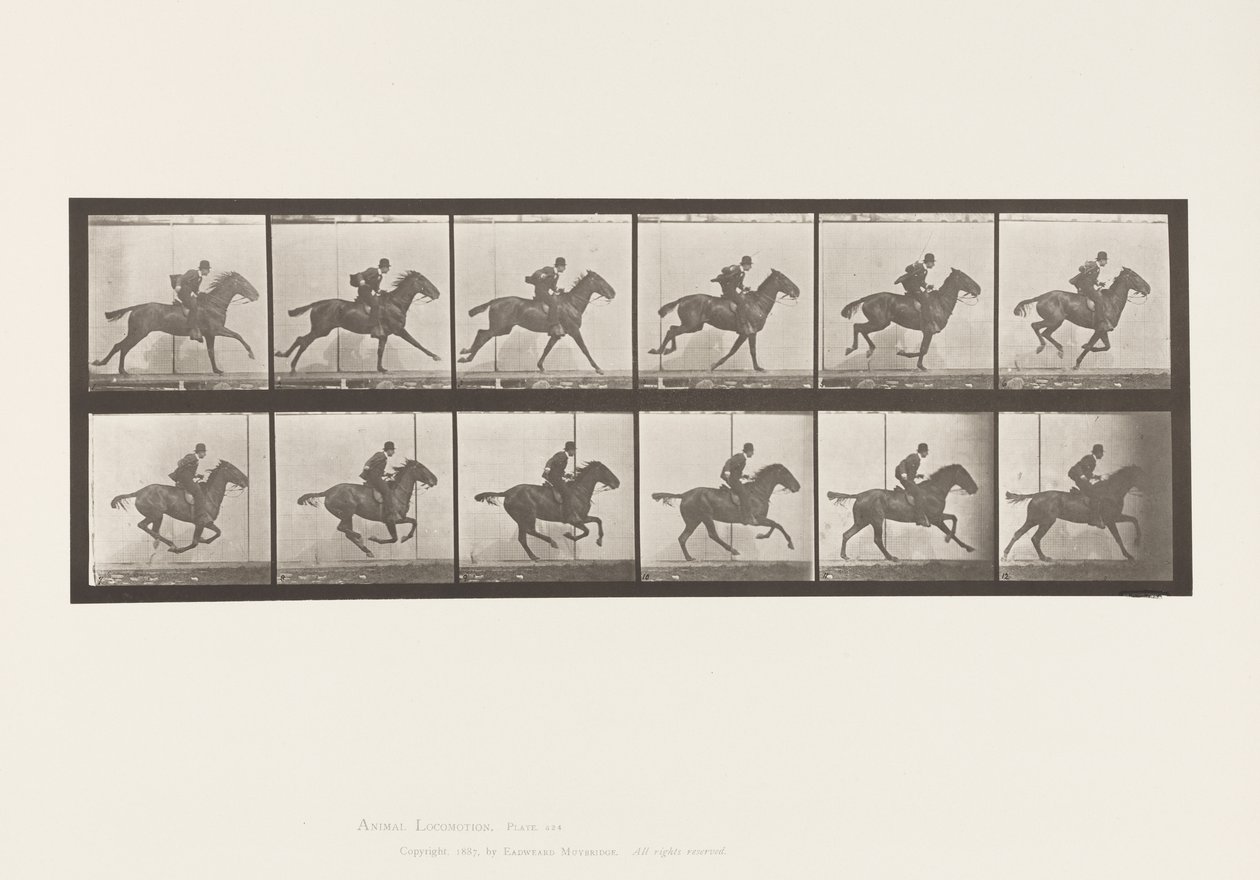 Tafel 624. Galopp; Sattel; Braunes Pferd Daisy von Eadweard Muybridge