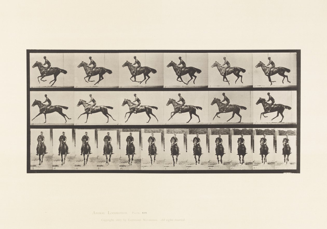 Tafel 632. Galopp; Sattel; Vollblut Braunes Pferd Bouquet von Eadweard Muybridge