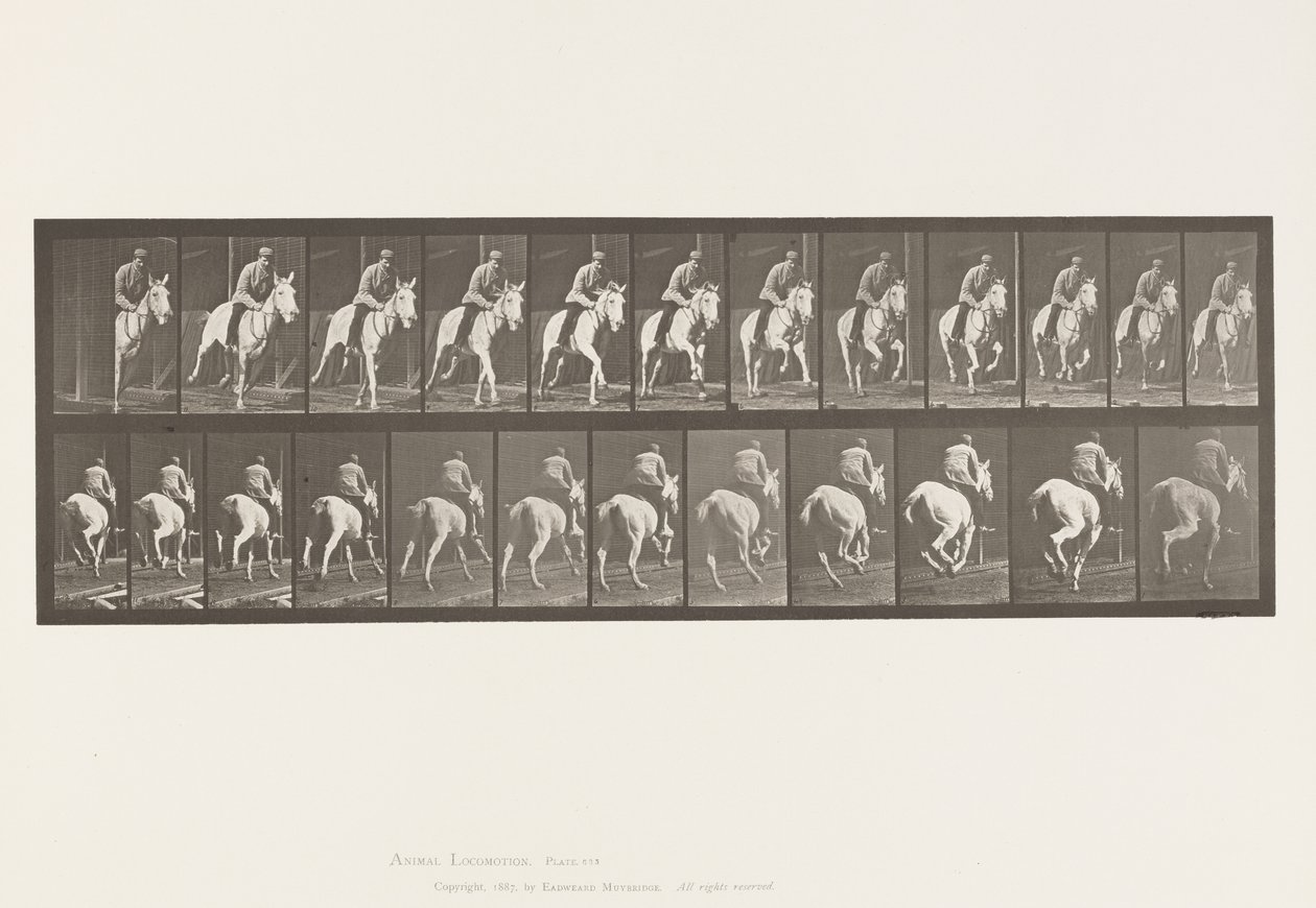 Tafel 635. Galopp; Sattel; Graue Stute Pandora von Eadweard Muybridge