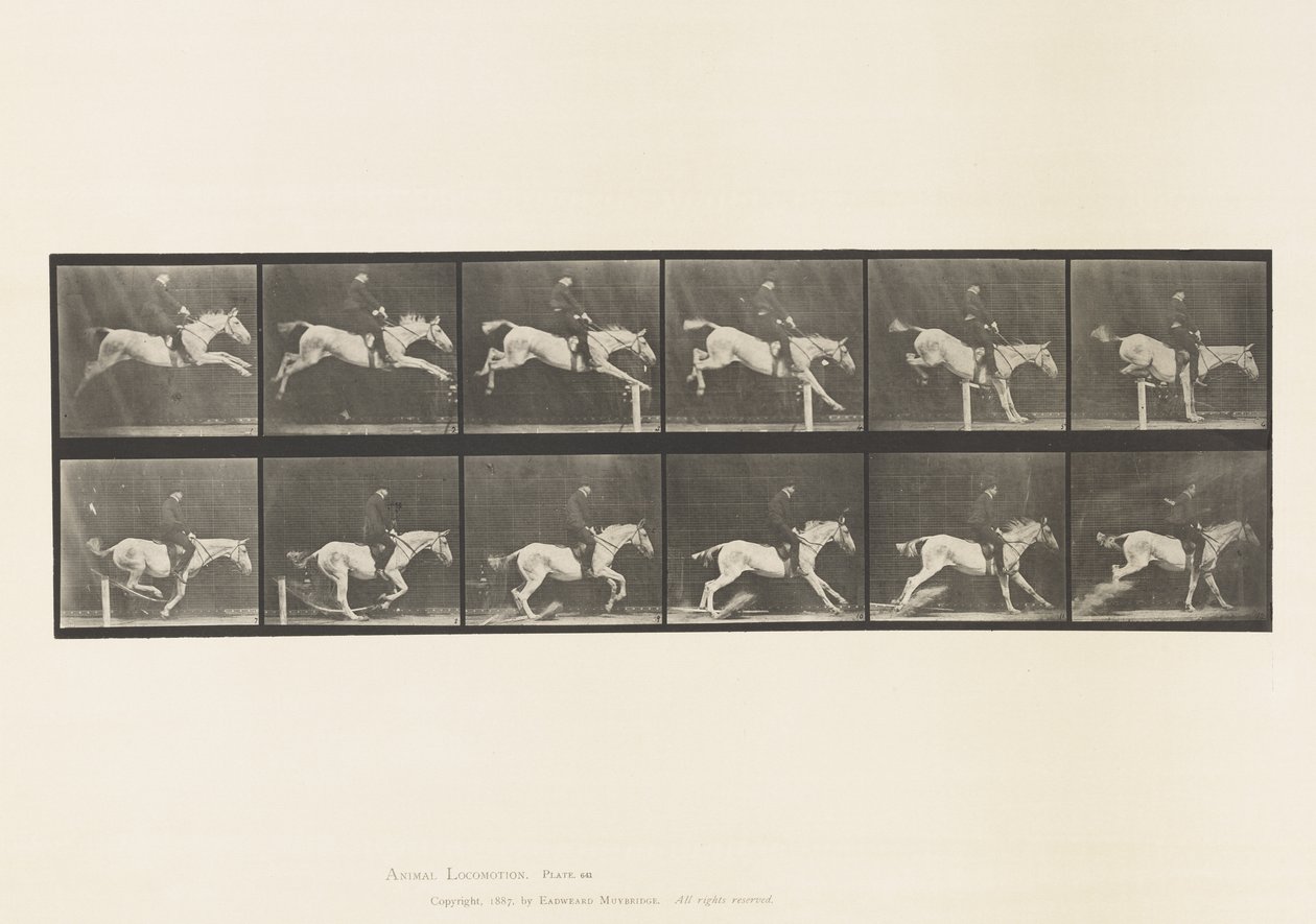 Tafel 641. Hürde überspringen; Sattel; Hürde umstoßen und von Eadweard Muybridge