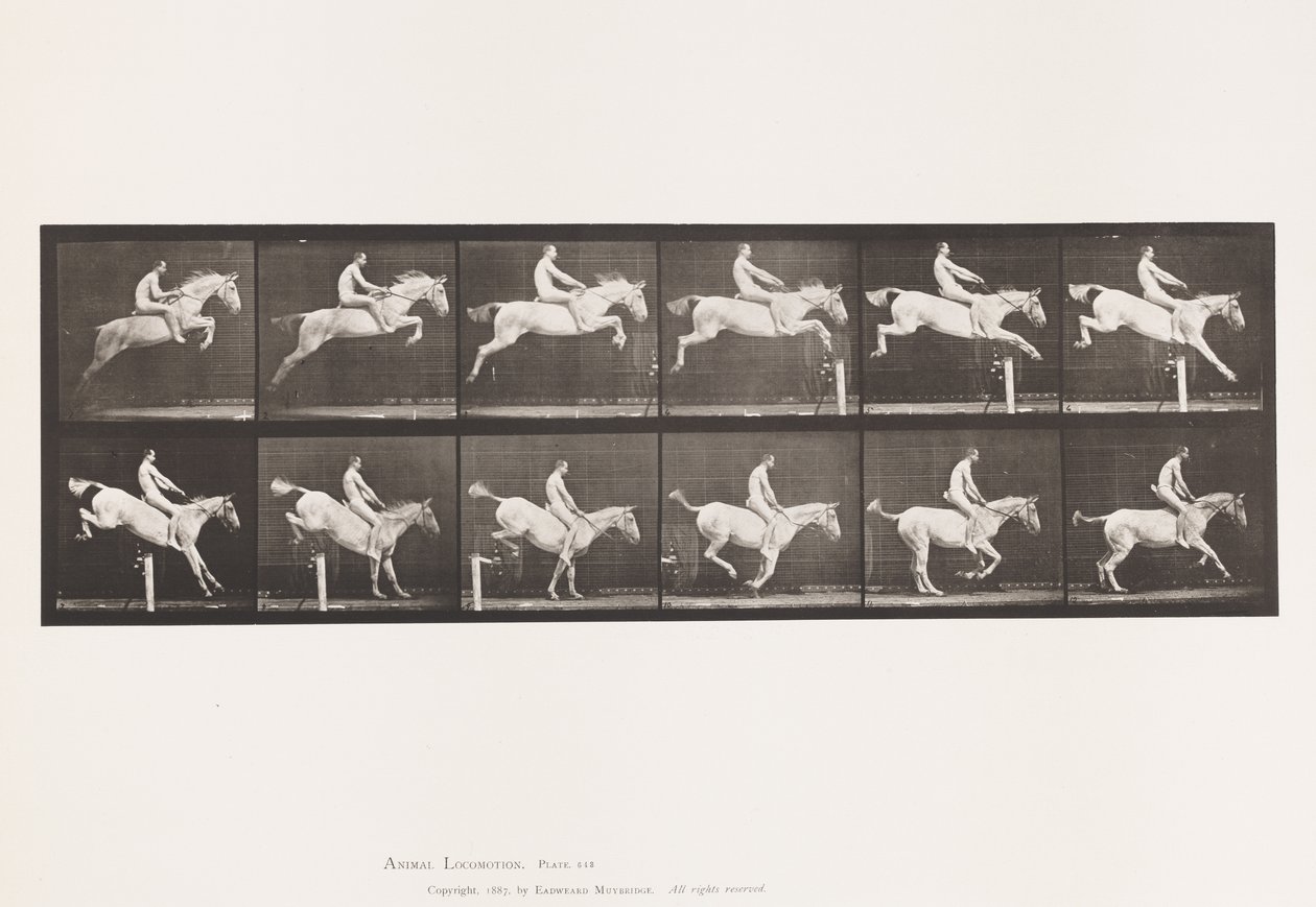 Tafel 643. Hürde überspringen; Ohne Sattel; Überwinden und Landen von Eadweard Muybridge