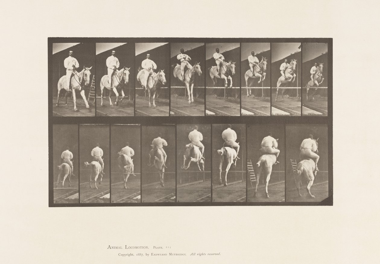 Tafel 644. Ein Hindernis überspringend; Sattel; Überwinden und Landen von Eadweard Muybridge