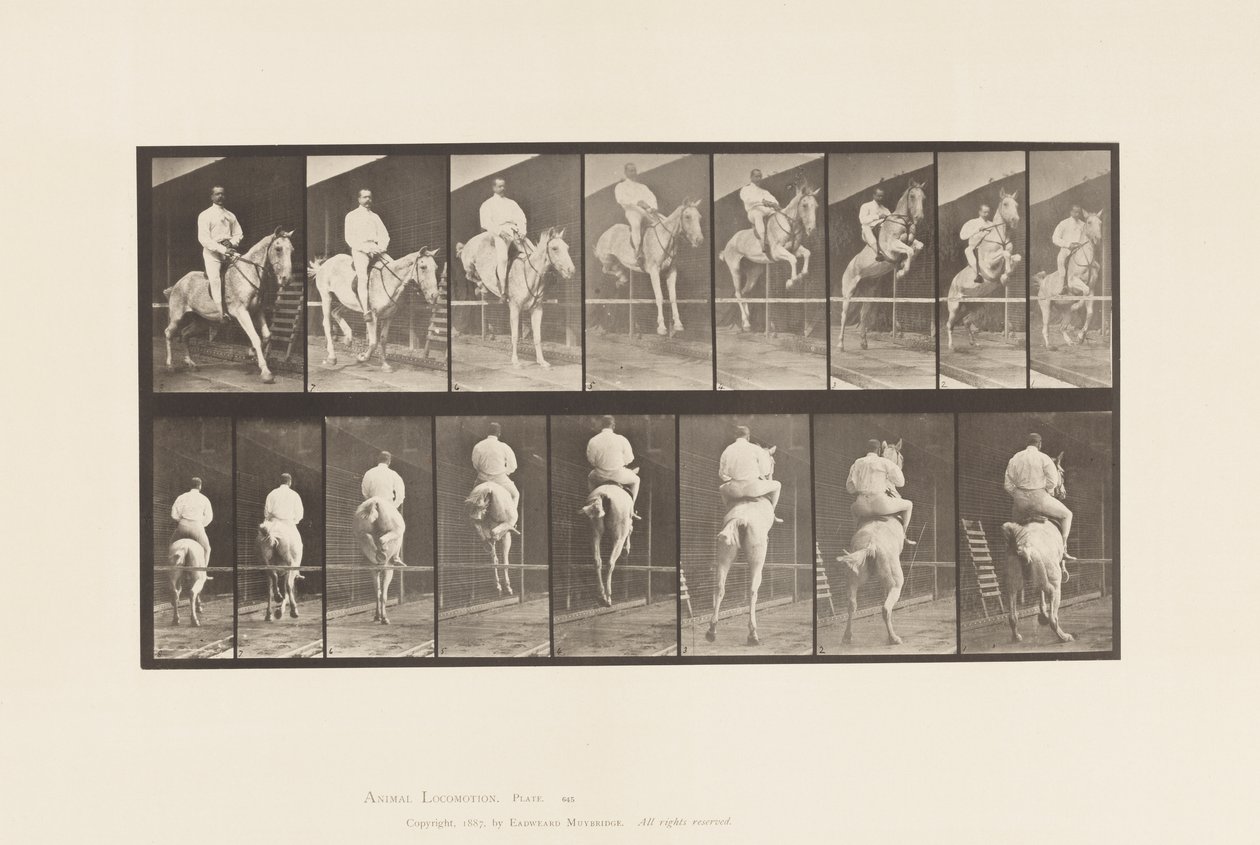 Tafel 645. Springen über ein Hindernis; Sattel; Überwinden und Landen von Eadweard Muybridge