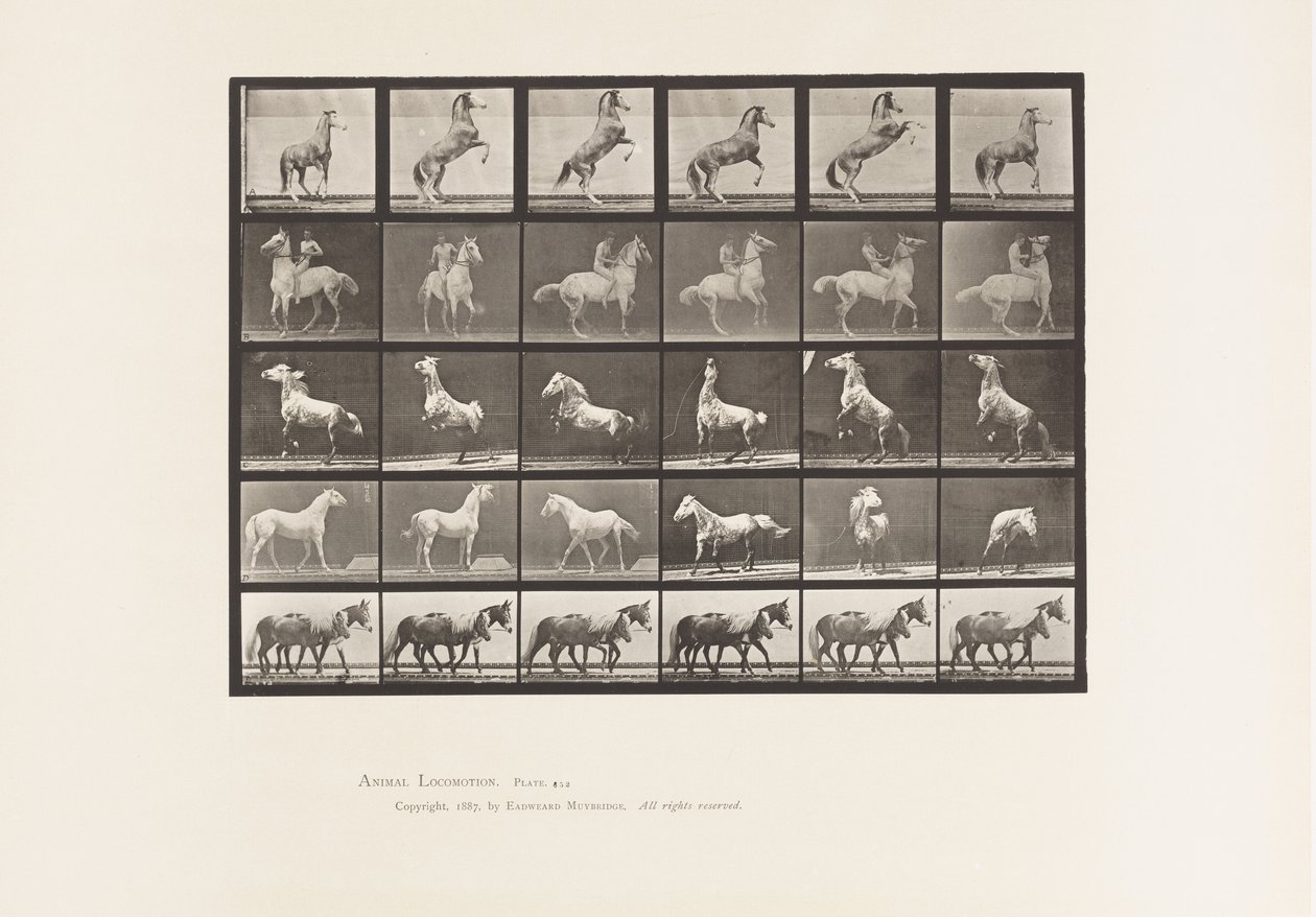 Tafel 652. A, B, C, D, E, Pferde Aufbäumend, etc. von Eadweard Muybridge