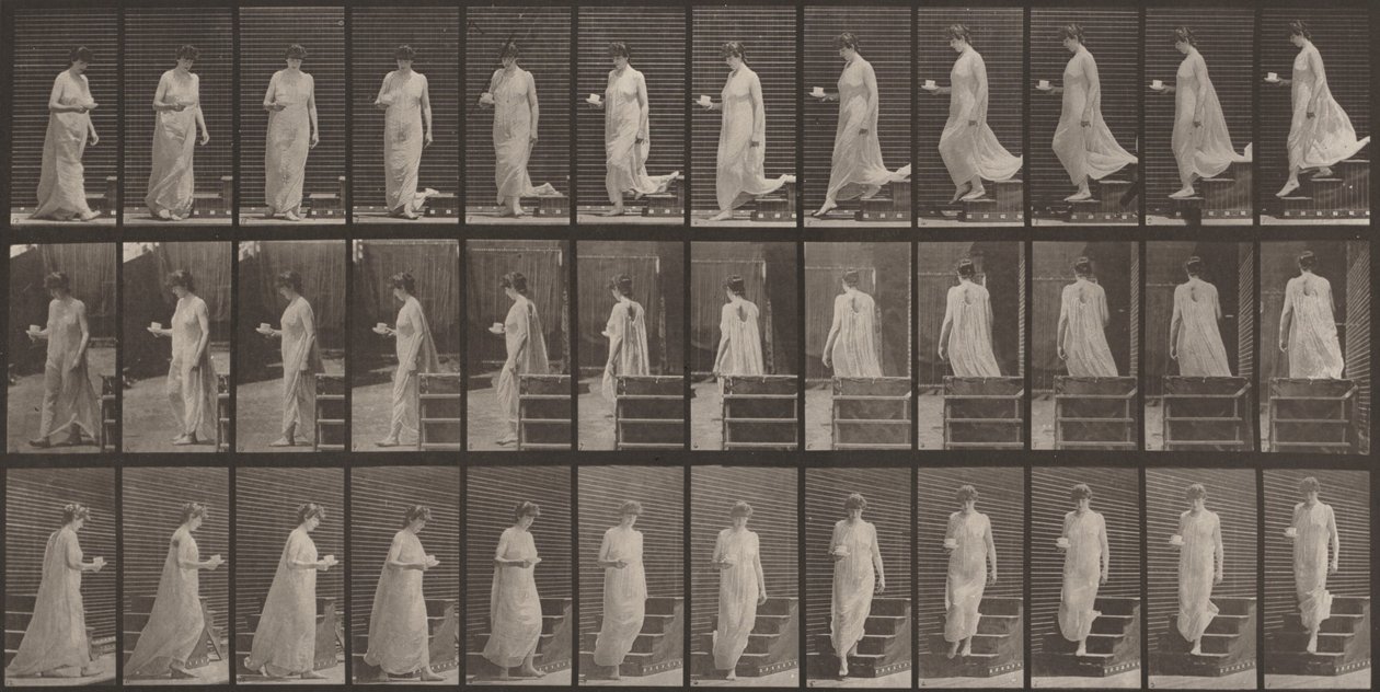 Teller Nummer 143. Treppe hinuntergehend, eine Tasse und Untertasse in der rechten Hand von Eadweard Muybridge
