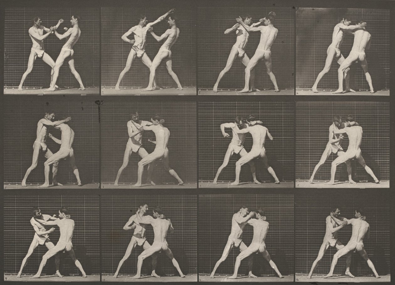 Tafel Nummer 340. Boxen, offene Hand von Eadweard Muybridge