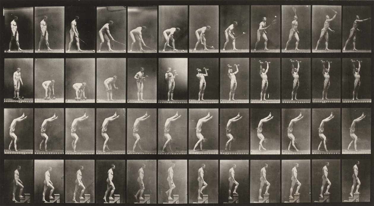 Tafel Nummer 488. A: Rasentennis. B: Hanteln. C: Auf Händen gehen. D: Treppensteigen von Eadweard Muybridge