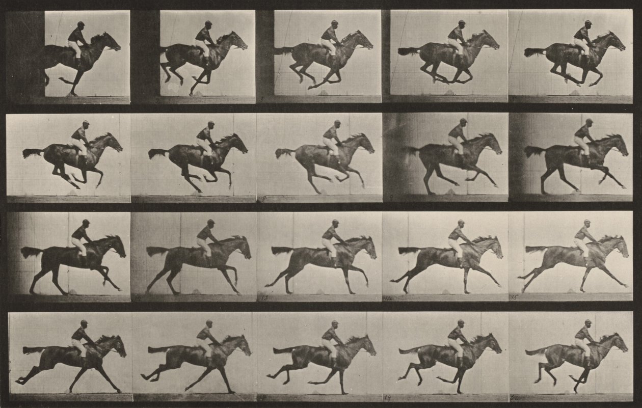 Tafel Nummer 627. "Annie G." im Galopp von Eadweard Muybridge