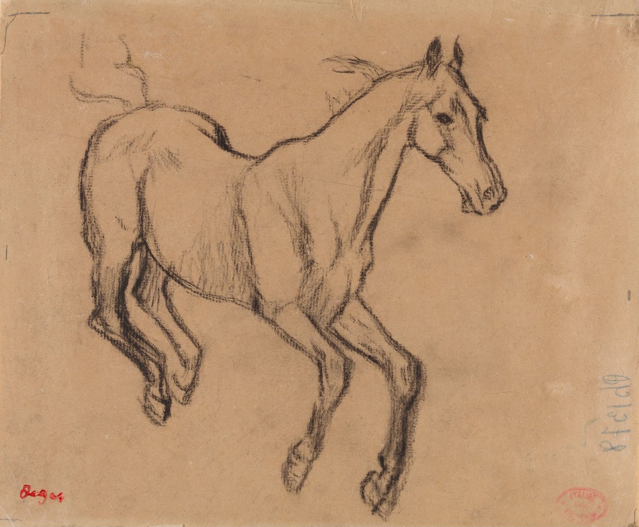 Pferd im Galopp von Edgar Degas
