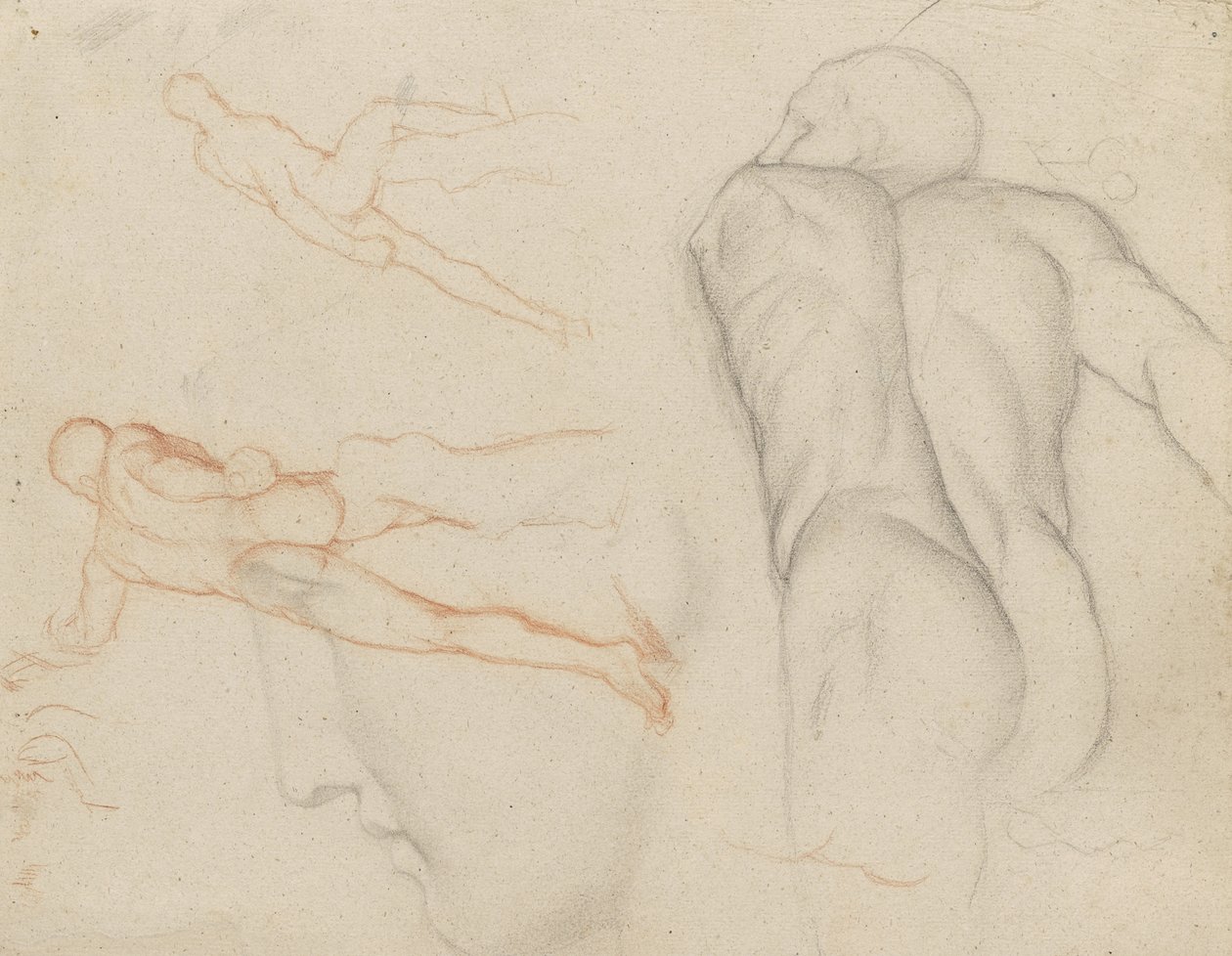 Studien des 