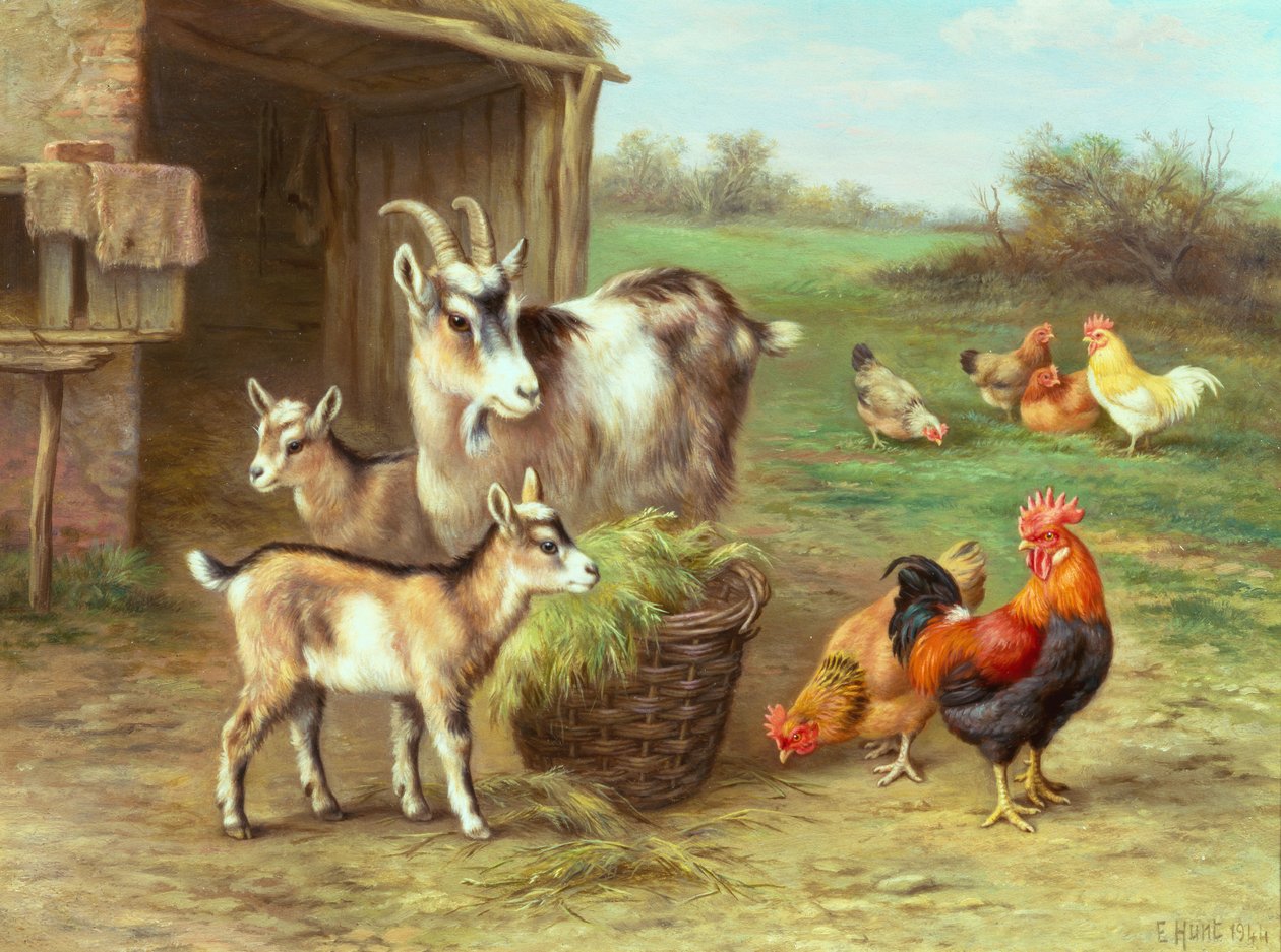 Hühner und Ziegen füttern auf einem Bauernhof von Edgar Hunt