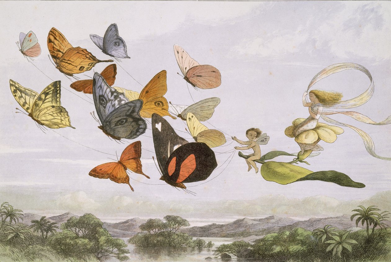 Im Märchenland: Eine Serie von Bildern aus der Elfenwelt, 1870 von Edmund Evans