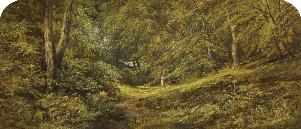 Skizze - Im Wald von Edmund G. Muller