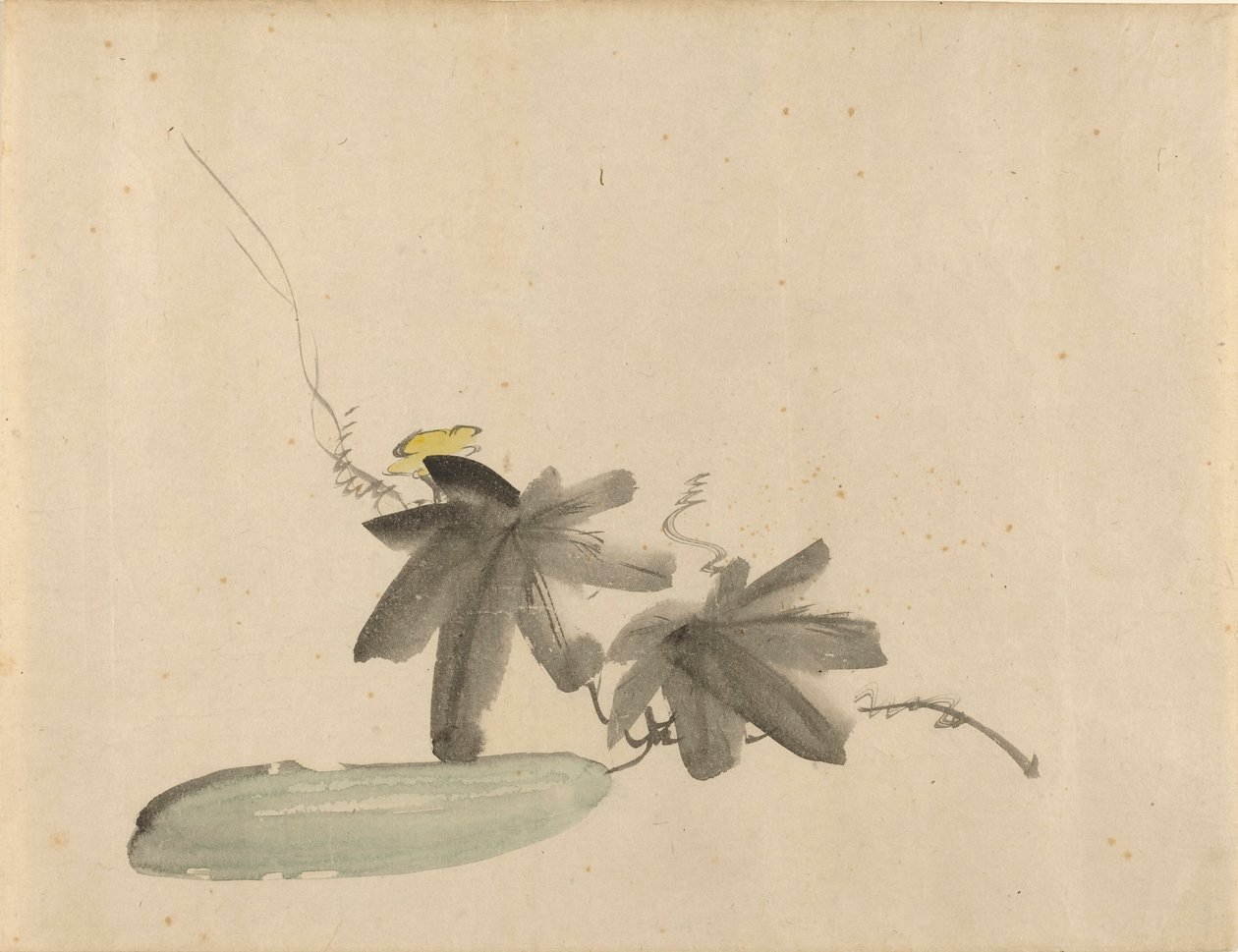 Gurke mit Blättern von Édouard Manet