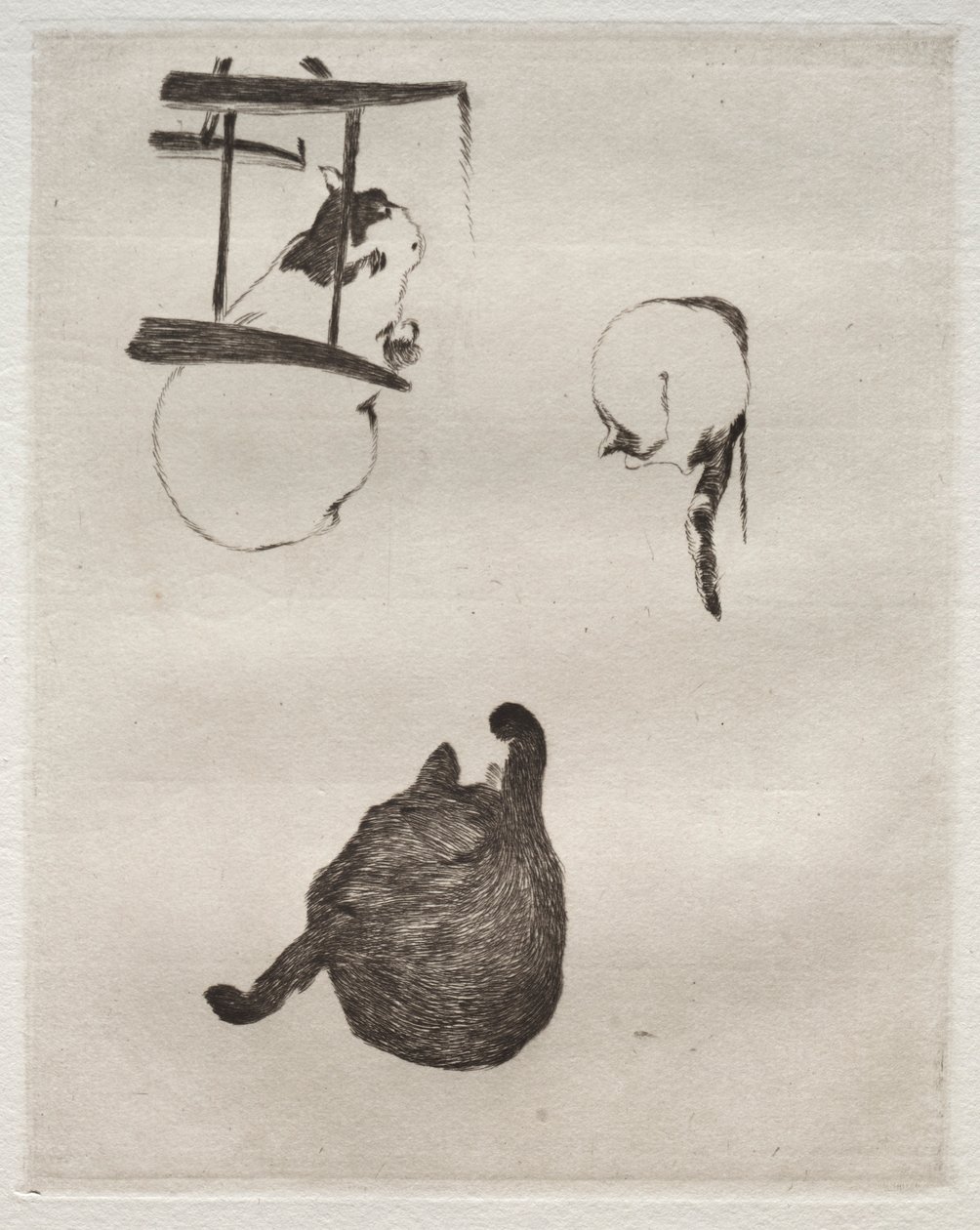 Die Katzen von Édouard Manet