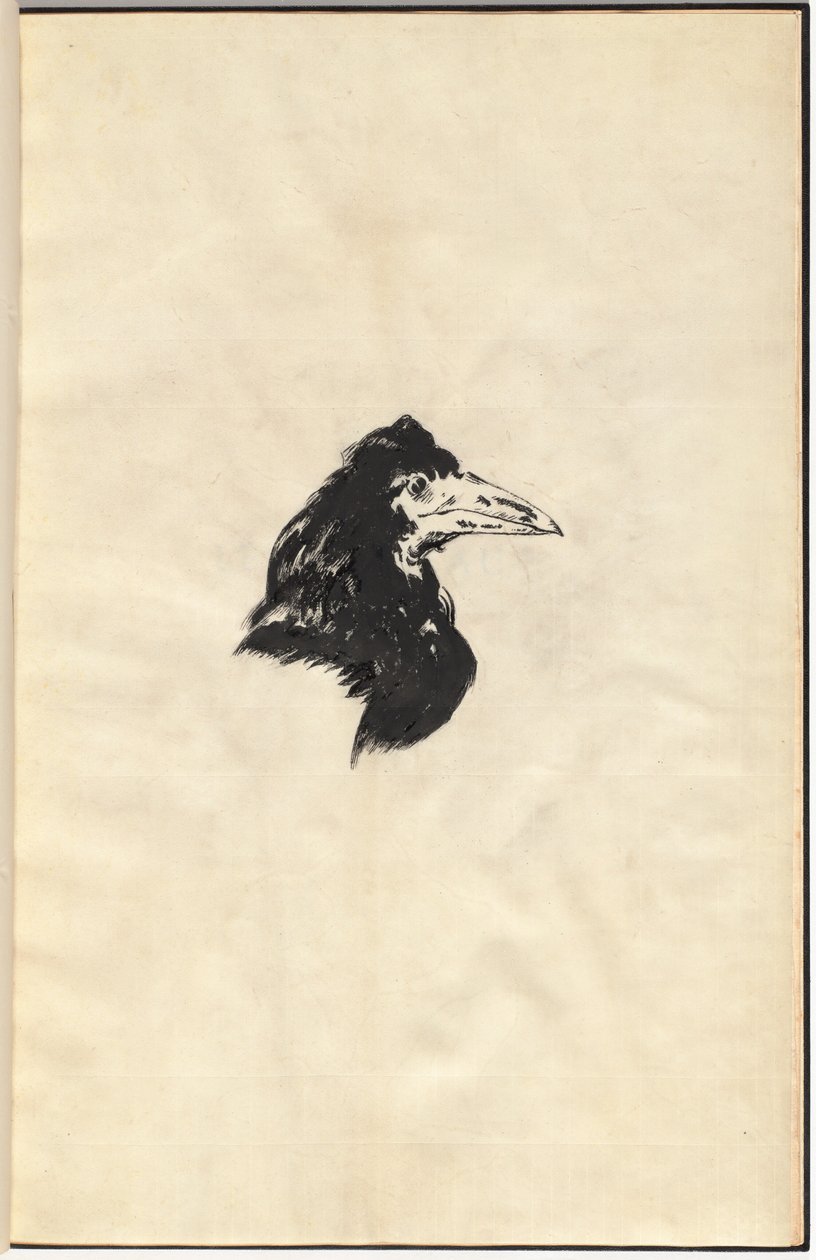 Der Rabe: The Raven von Edouard Manet, Edgar Allan Poe