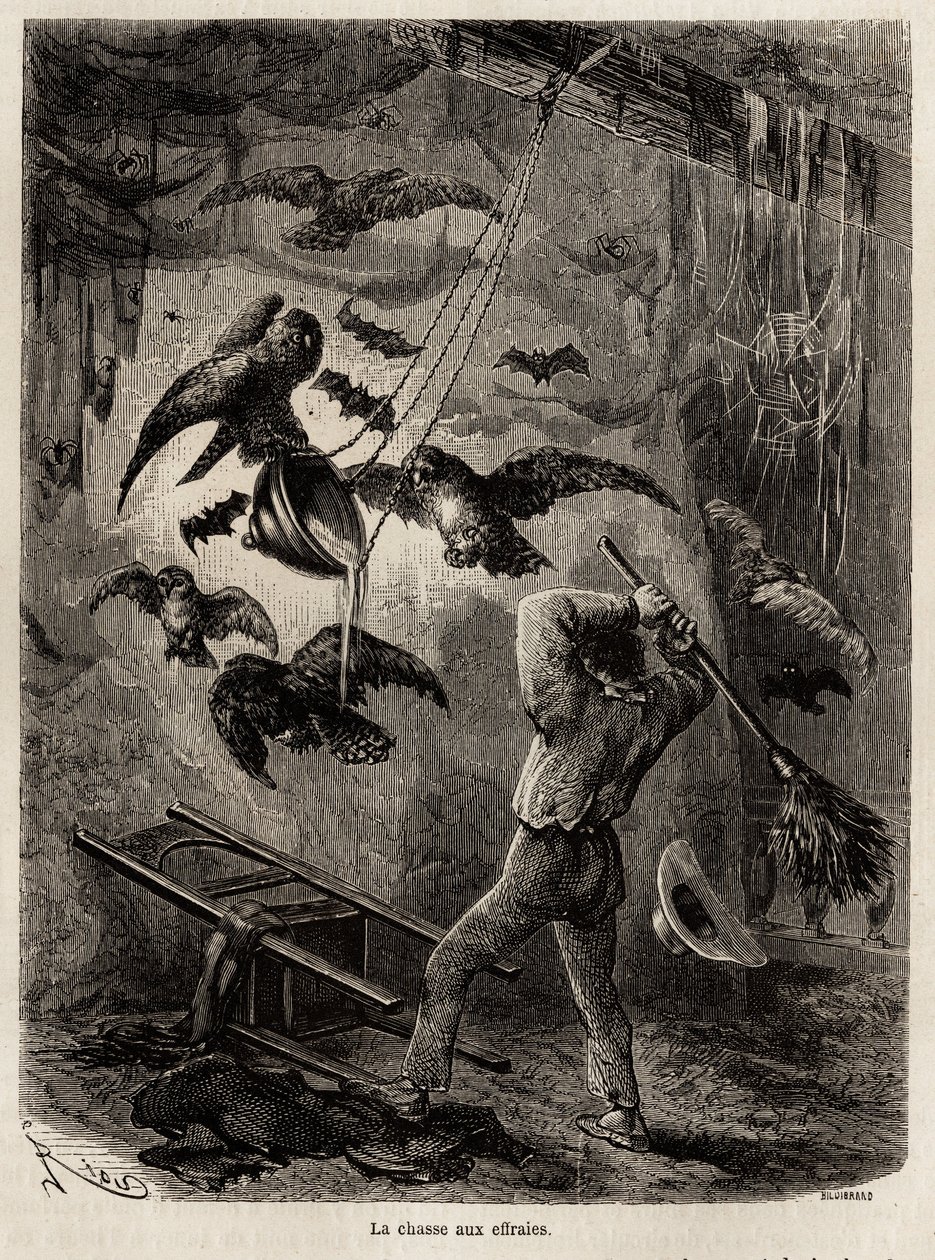 Eulenjagd in der Kirche von Sarayacu (Peru), Zeichnung von Riou zur Illustration von Paul Marcoys Reise vom Pazifik zum Atlantik von 1848 bis 1860. Gravur in „Le tour du monde“, herausgegeben von Edouard Charton von Edouard Riou