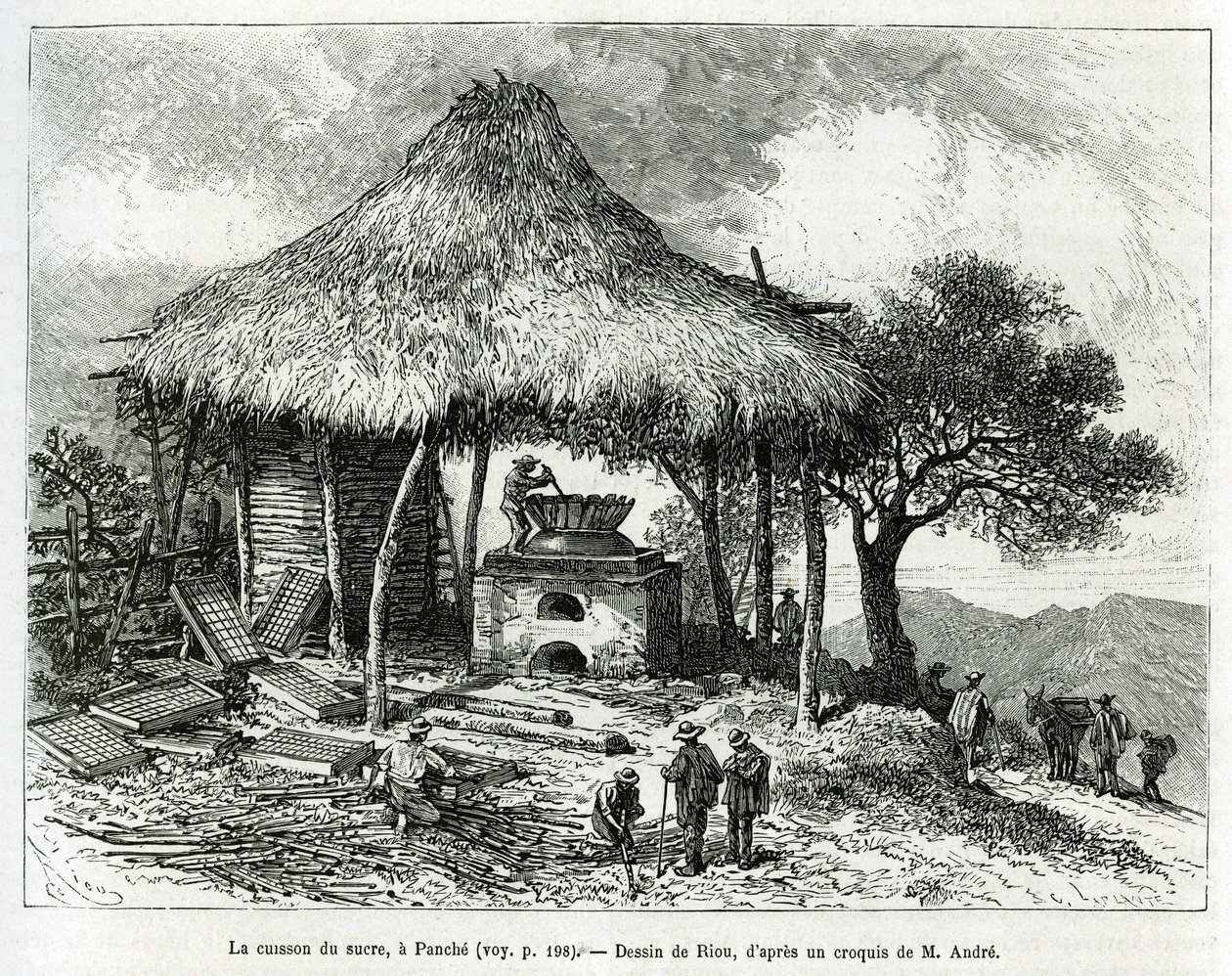Der Zuckerbackofen, in Panche (Kolumbien), Zeichnung von Riou, zur Illustration der Geschichte von Equinoxiale America (Kolumbien, Ecuador, Peru), 1875-1876, von Ed. Andre, Reisemission beauftragt von der französischen Regierung. Gravur in „Le tour du mond von Edouard Riou