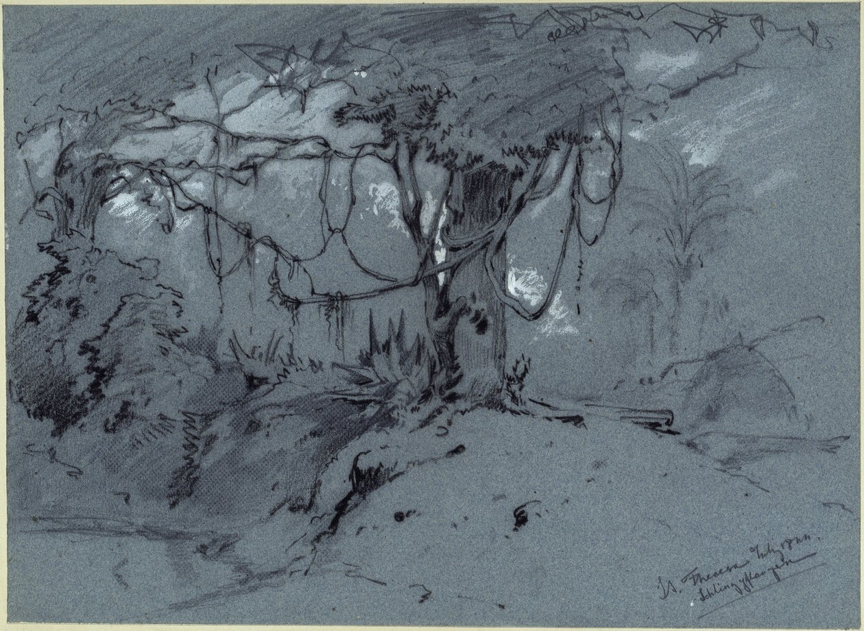 Baum mit Schlingpflanzen von Eduard Hildebrandt