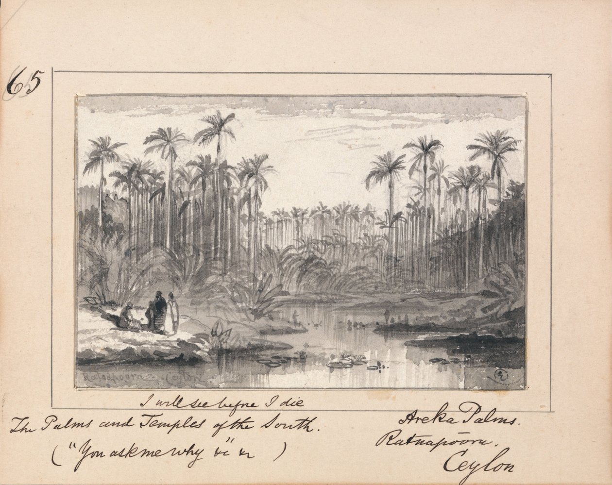 Illustration zu Tennysons Du fragst mich warum - Areka-Palmen, Ratanapooru, Ceylon von Edward Lear