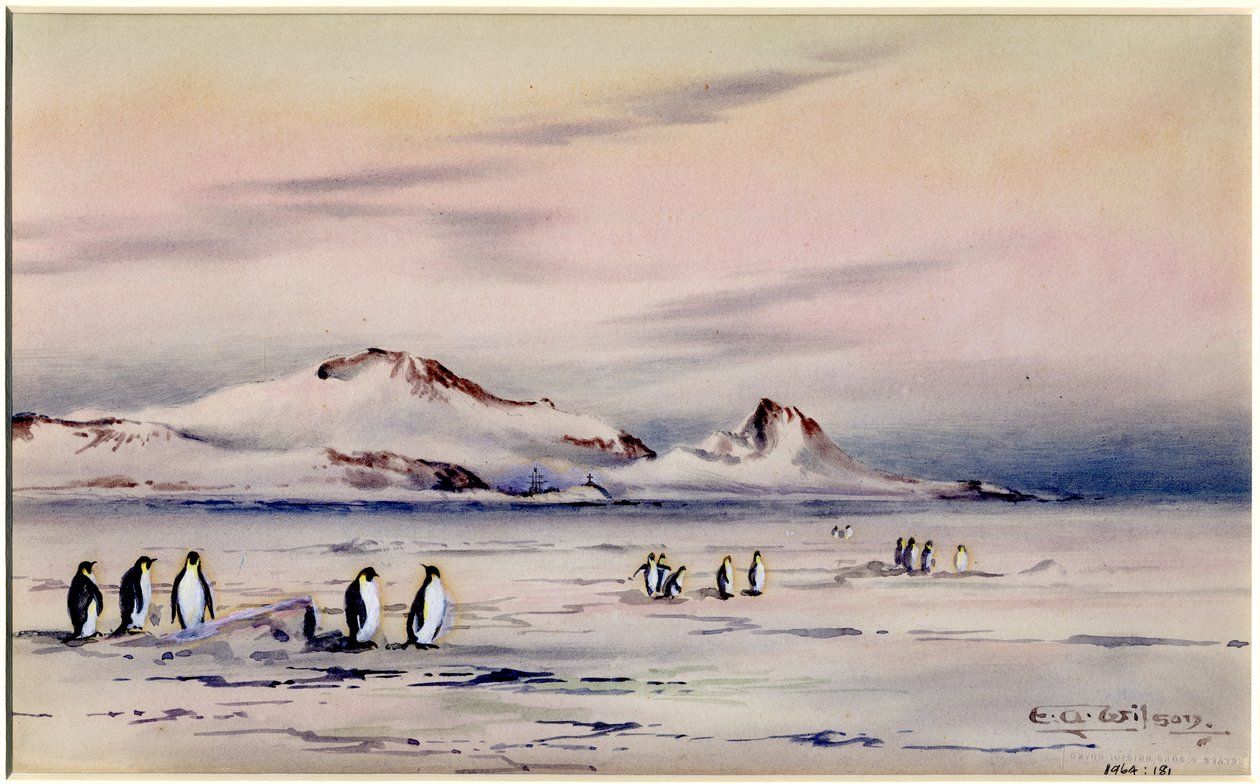 Die Entdeckung Winterquartiere, ca. 1901-04 von Edward Adrian Wilson