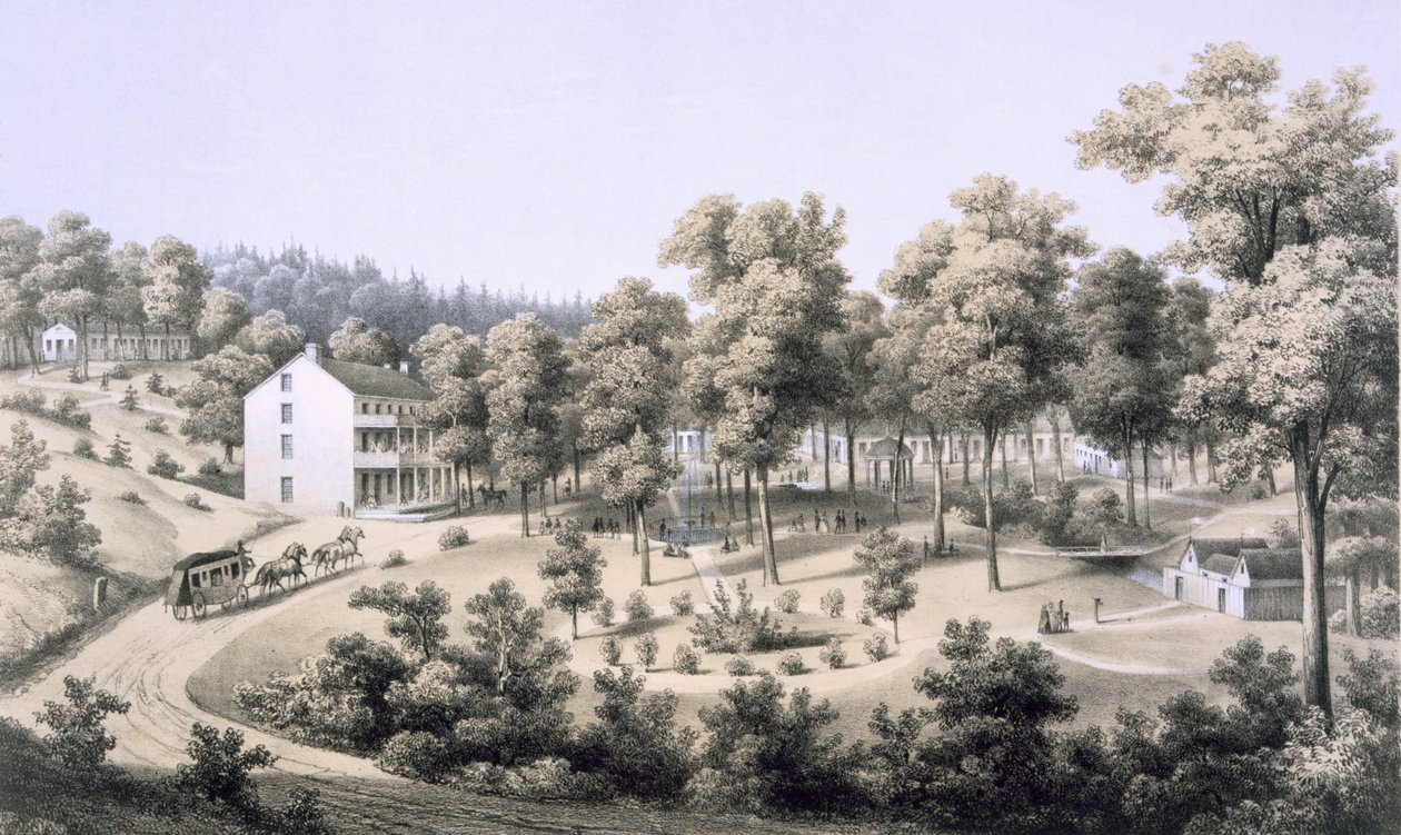 Stribling Springs, Spa-Dorf, Augusta Country, 1858 von Edward Beyer
