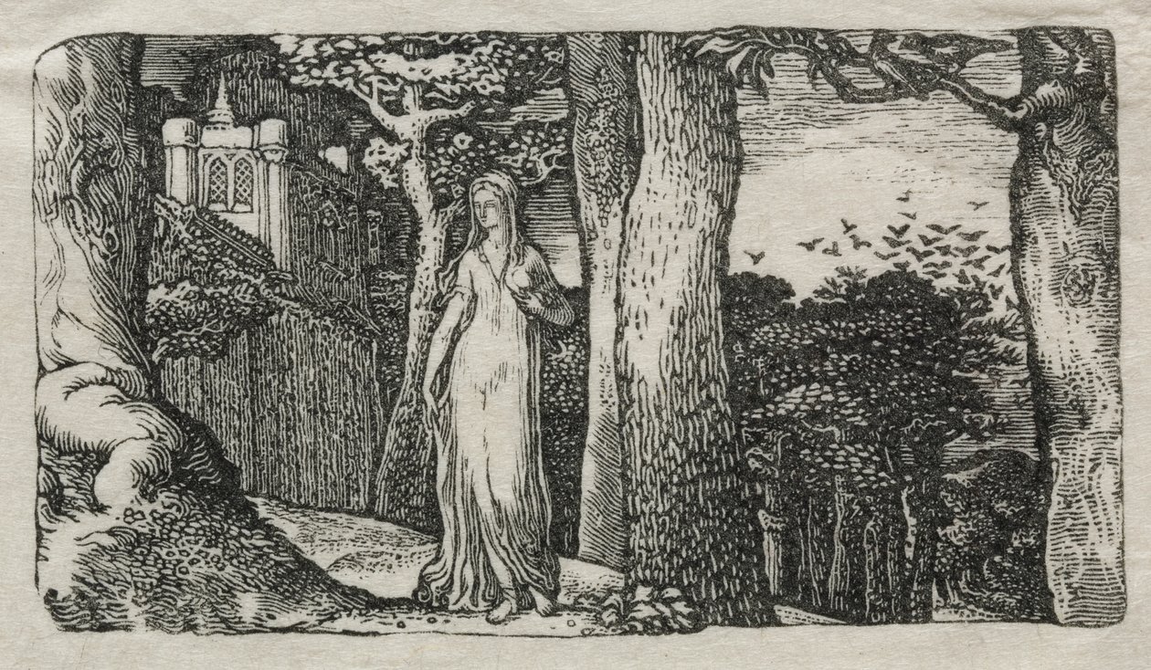 Die Dame und die Krähen von Edward Calvert
