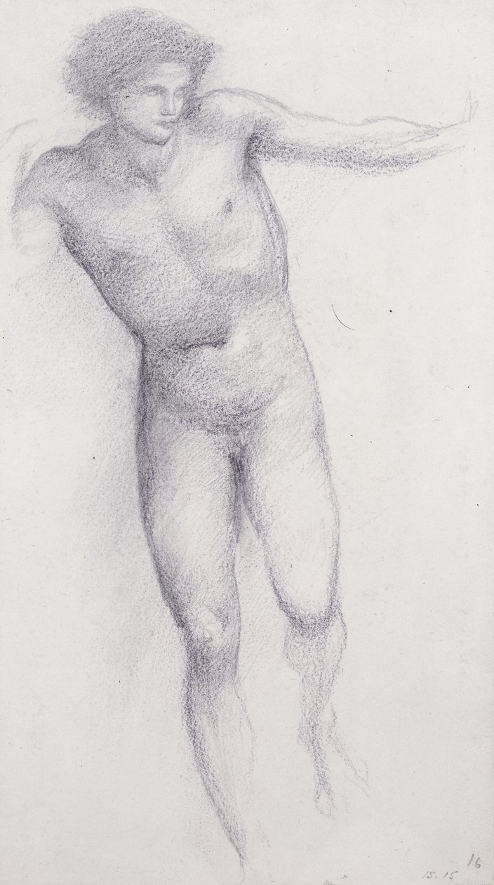 Perseus - Felsen des Verderbens von Edward Burne Jones
