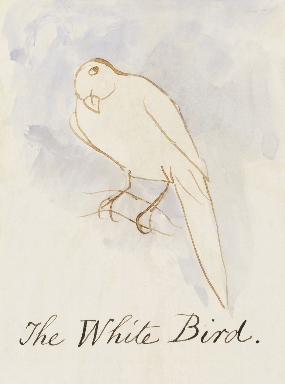 Der weiße Vogel, aus Sechzehn Zeichnungen von komischen Vögeln von Edward Lear