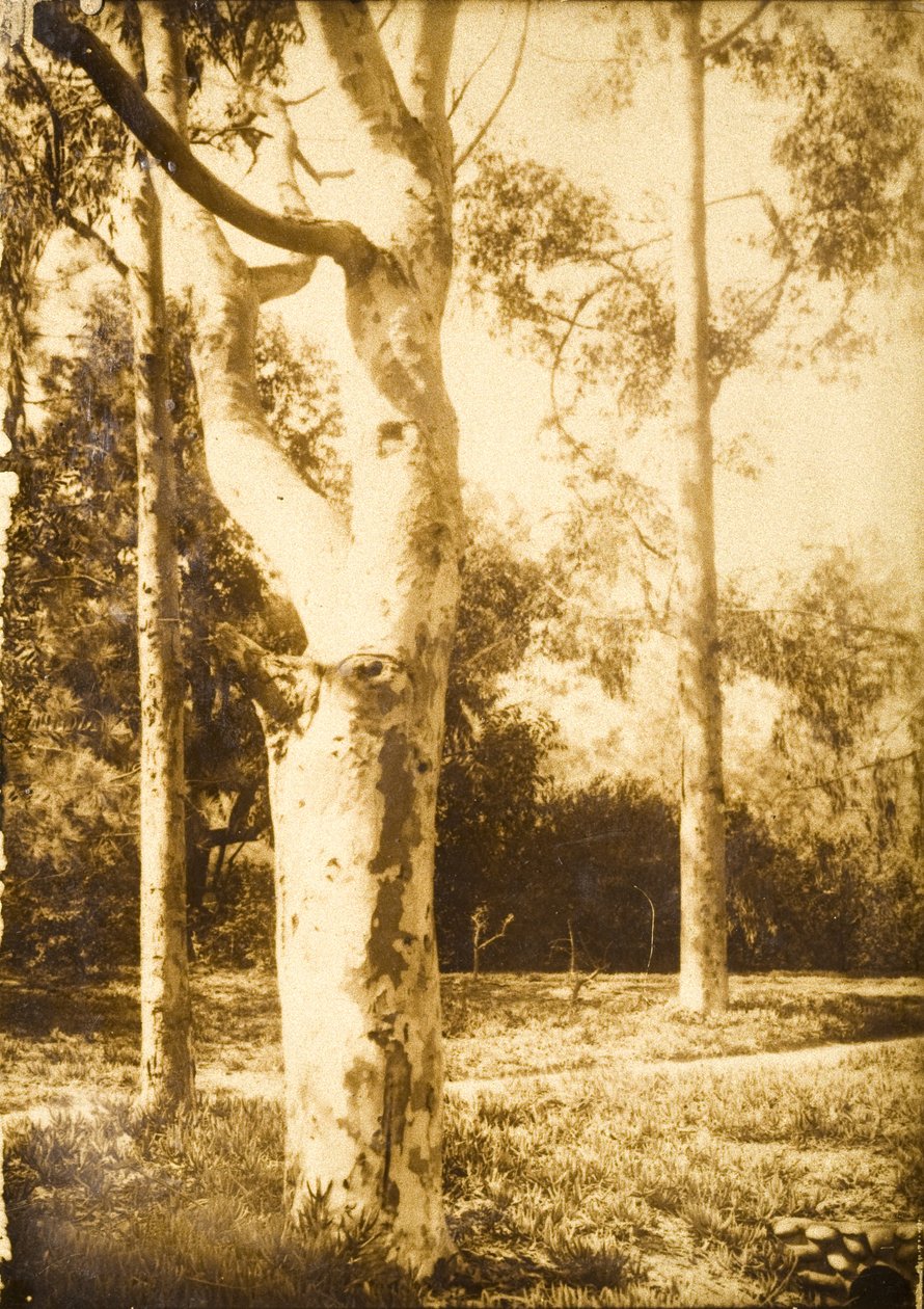 Auf dem Bauernhof, Seattle, Washington von Edward Sheriff Curtis