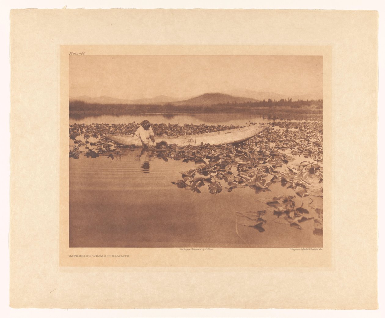 Wokas sammeln - Klamath von Edward Sheriff Curtis
