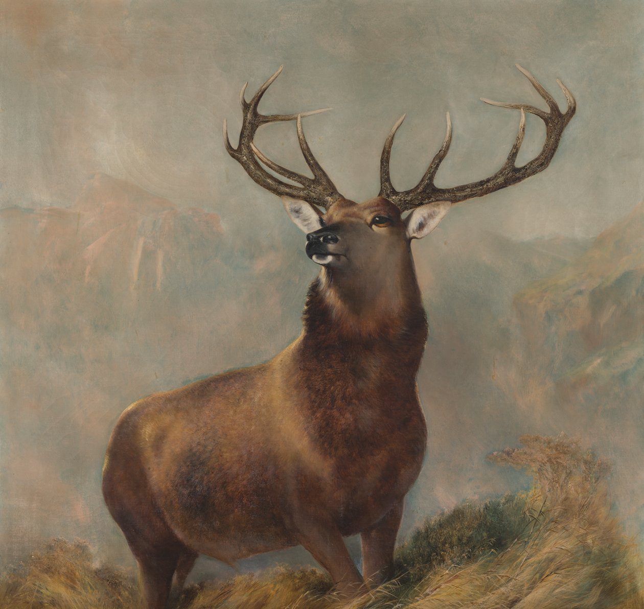 Der Monarch der Glen, ca. 1822-73 von Edwin (after) Landseer