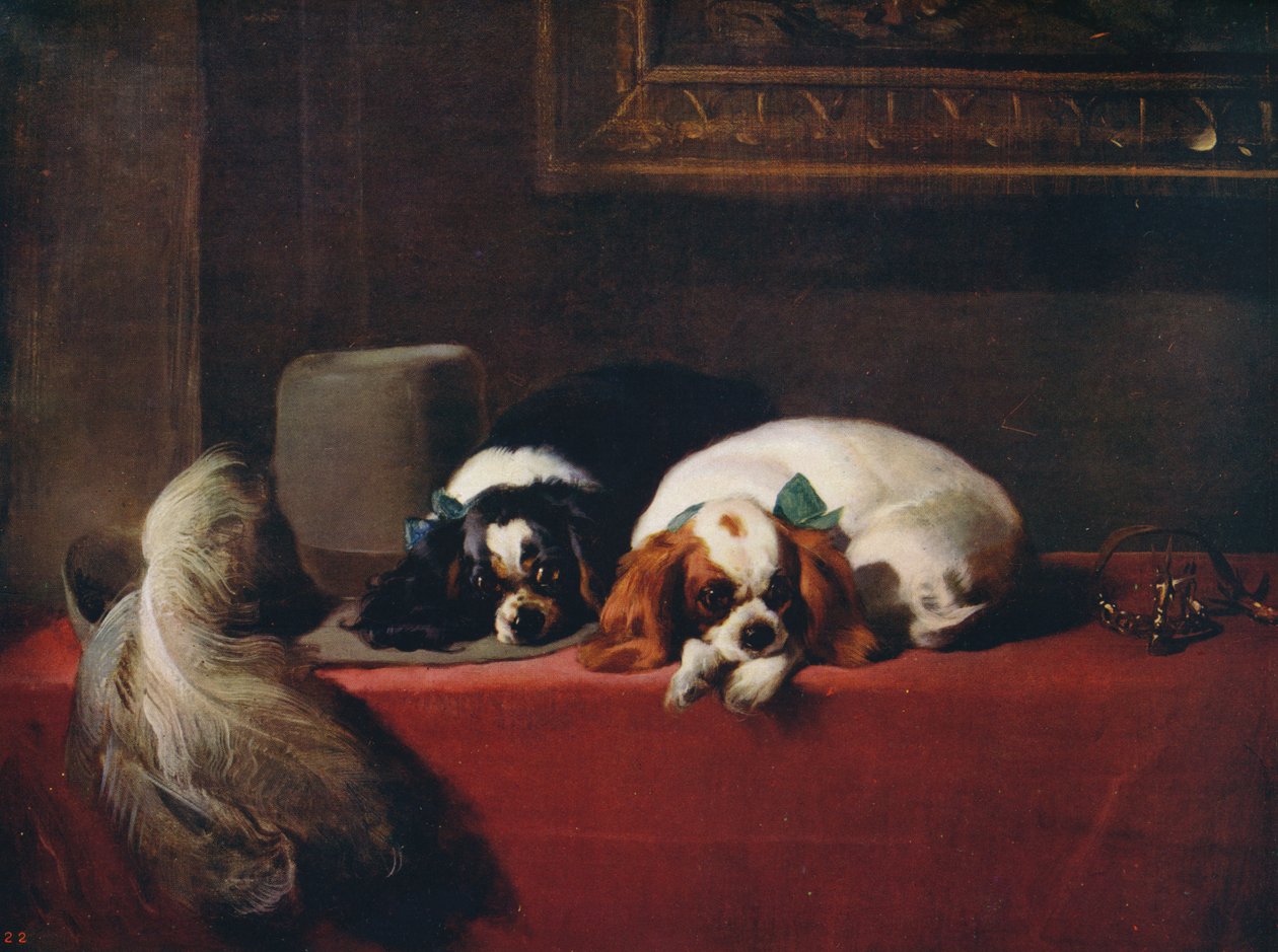 King Charles Spaniels, die Haustiere der Kavaliere, 1845 von Edwin Landseer
