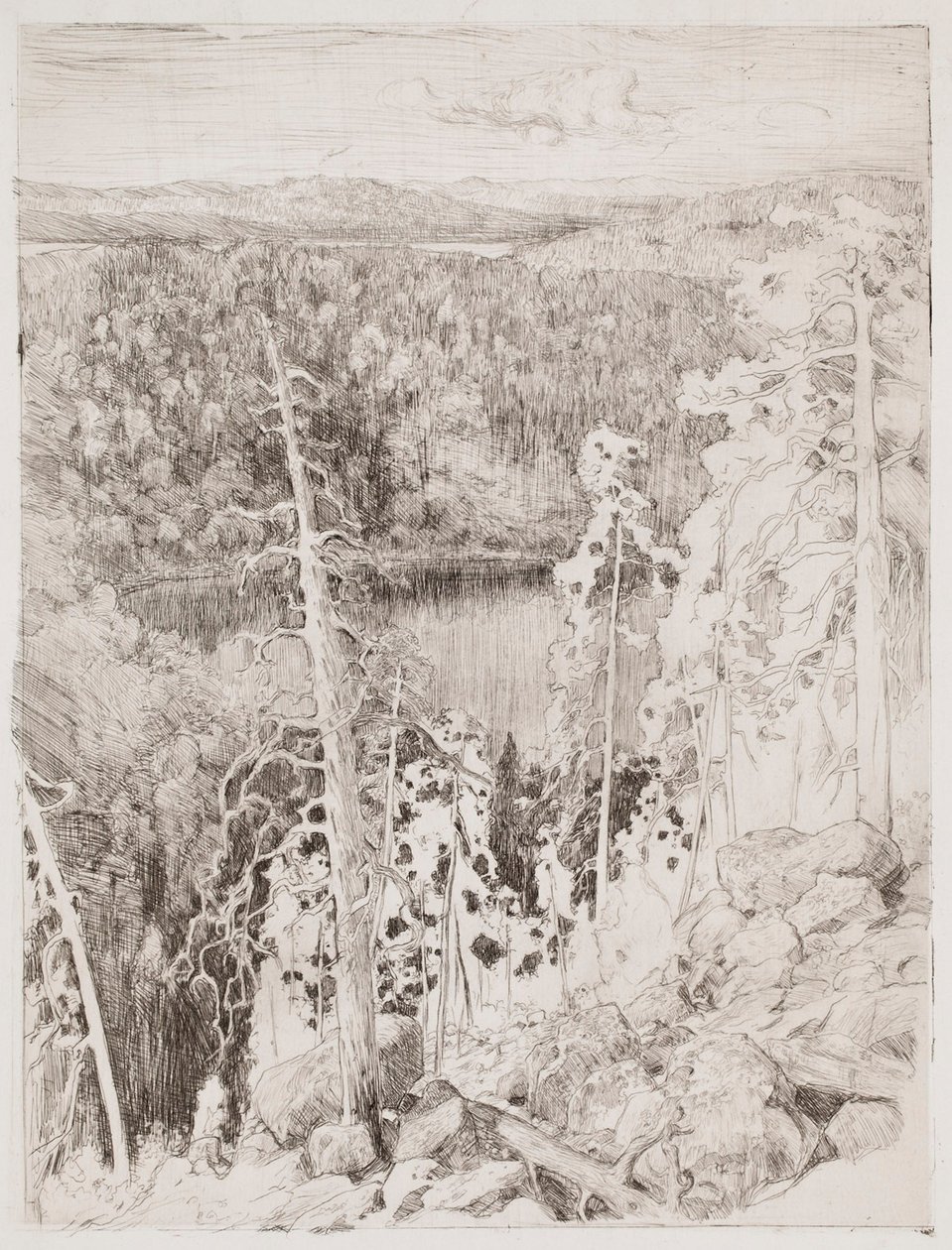 Landschaft von Koli; Waldlandschaft von Räsävaara von Eero Järnefelt
