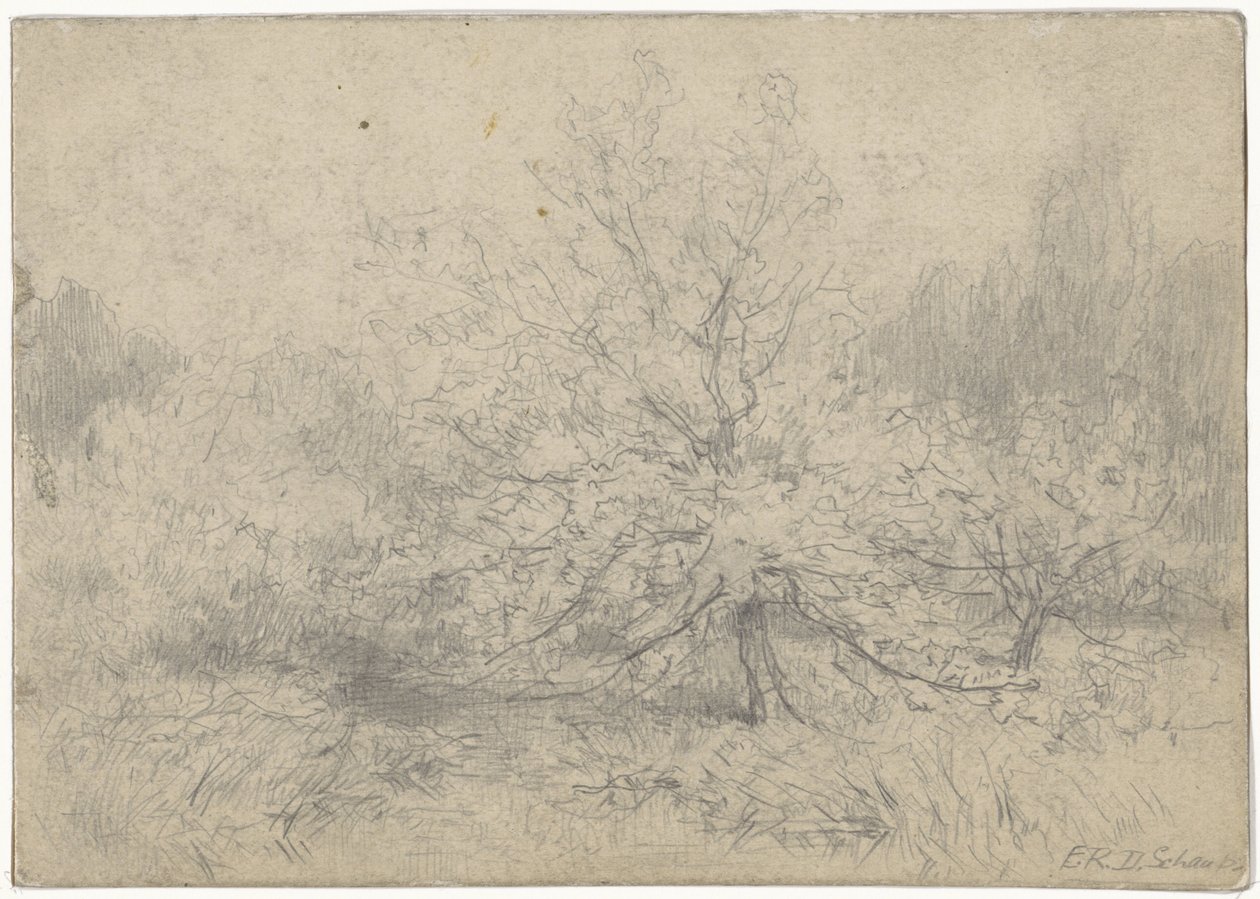 Landschaft mit einem Baum prominent in der Mitte von Egbert Rubertus Derk Schaap