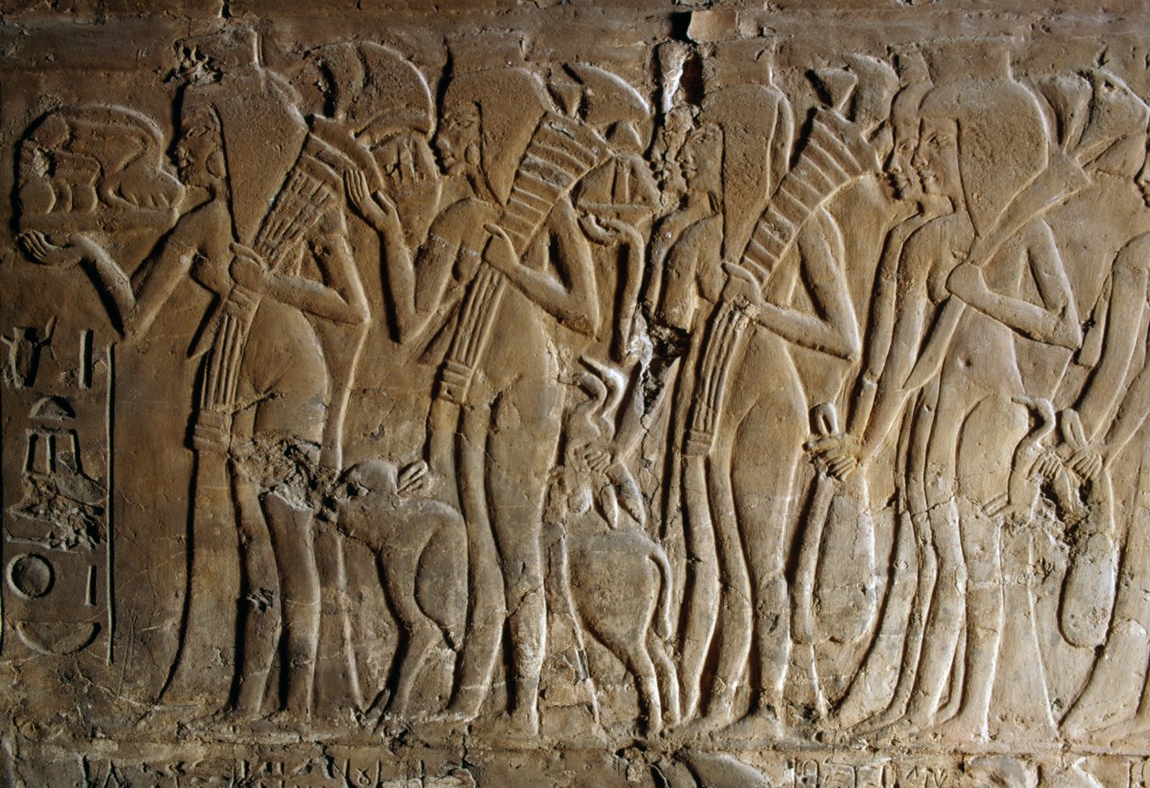 Basrelief aus dem Grab von Maia, Amme von Tutanchamun, Saqqara, Ägypten, ägyptische Zivilisation, Neues Reich, Dynastie XVIII (Detail) von Egyptian 18th Dynasty