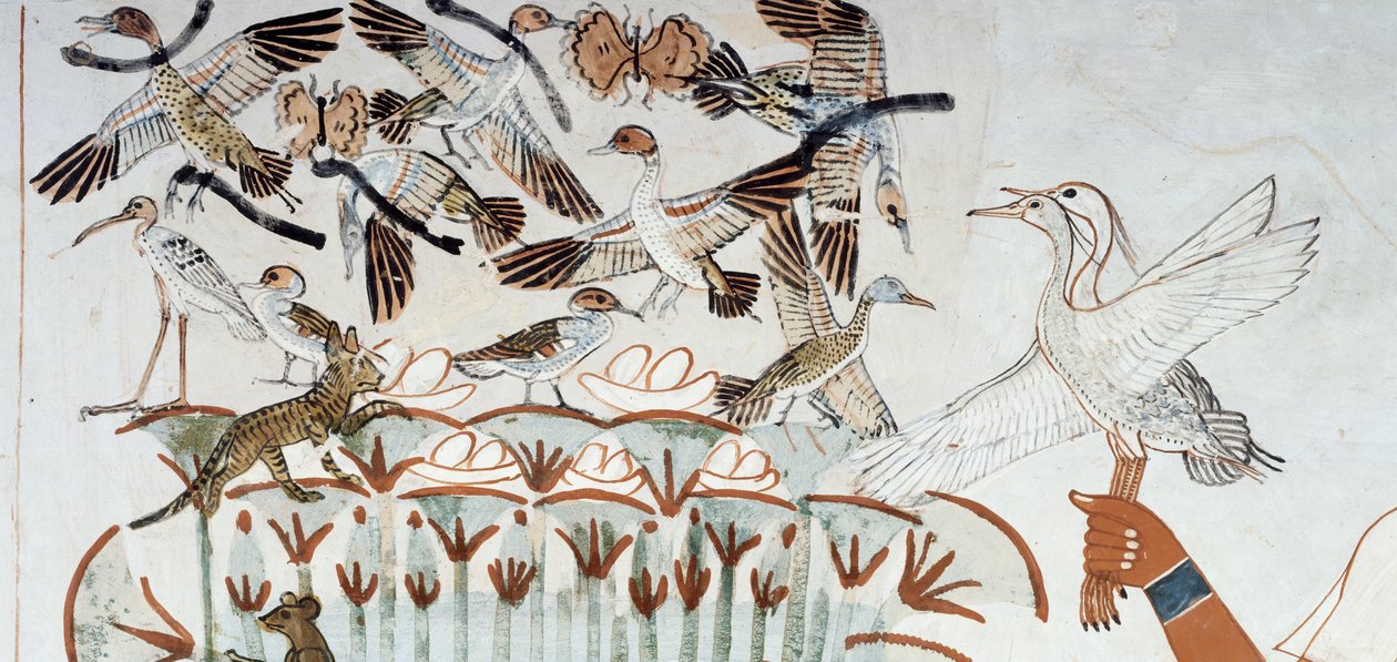 Enten, Nester, Schmetterlinge, Katzen und Nagetiere, Detail aus der Jagd- und Fischereiszene in den Sümpfen, Fresko, Nordwand, Längskammer, Thebanisches Grab TT69, Sheikh Abd el-Qurna, Theben. Ägyptische Zivilisation, Neues Reich, Dynastie XVIII. von Egyptian 18th Dynasty
