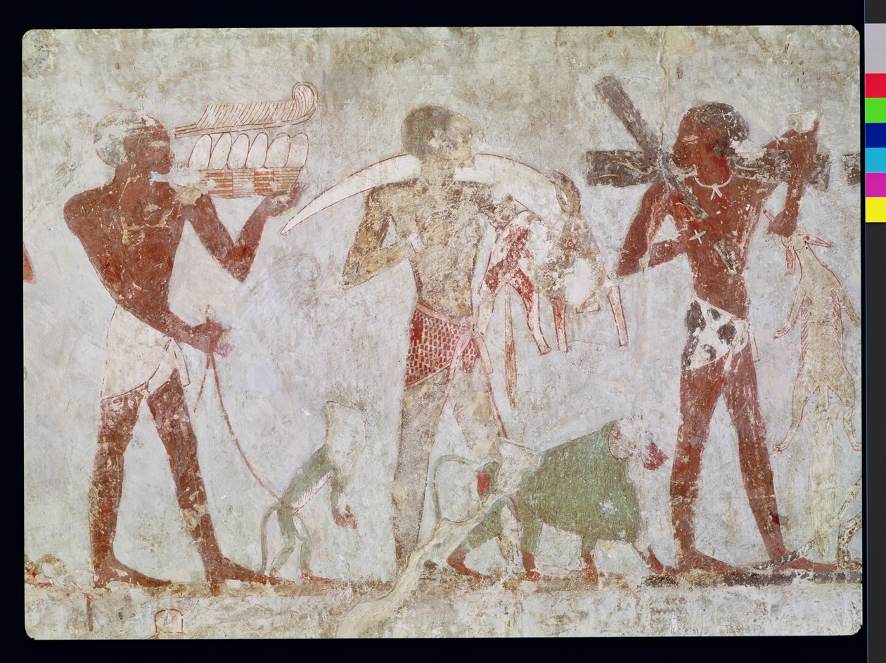 Kuschiten tragen Tribute aus Gold, Elfenbein und Tierhäuten, aus dem Grab von Rekhmire, Wesir von Thutmosis III. und Amenhotep II., Neues Reich von Egyptian 18th Dynasty
