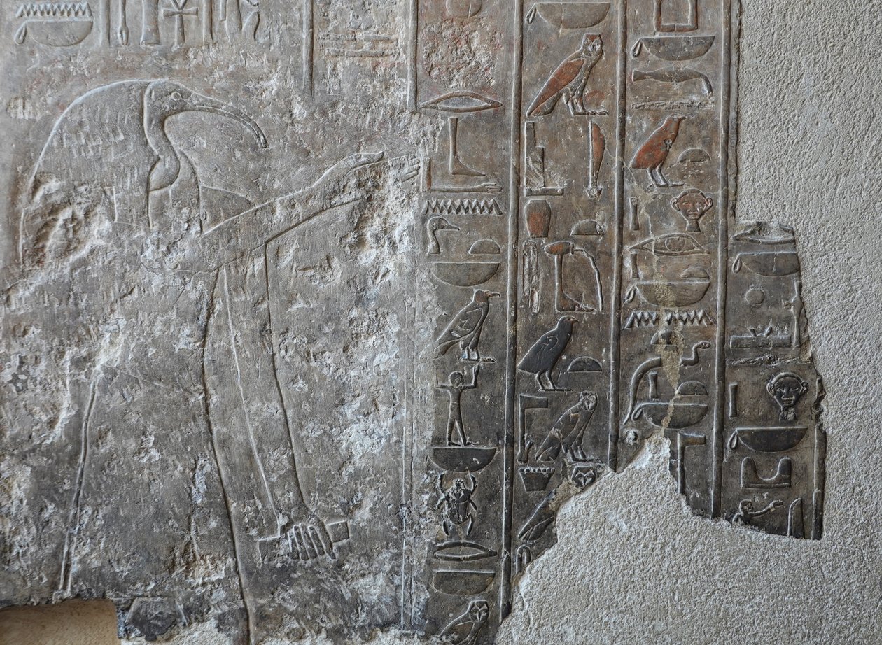 Flachrelief. Hatshepsut-Tempel, Deir el Bahari von Egyptian 18th Dynasty