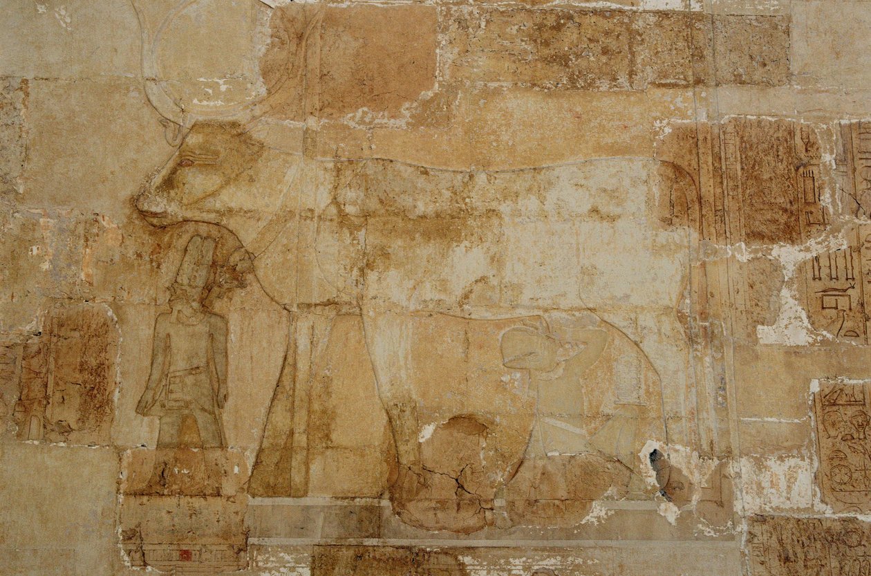 Totentempel der Königin Hatschepsut: Hathor-Kapelle, die Göttin in ihrer kuhähnlichen Form, mit Krone, wird von Hatschepsut gefüttert von Egyptian 18th Dynasty