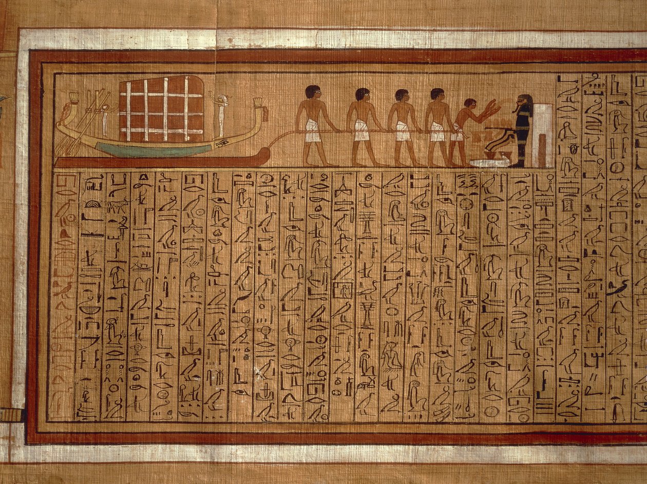Papyrus des 