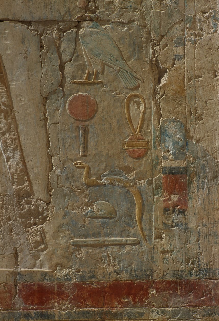 Relief des Horus, Kapelle der Göttin Hathor, aus dem Totentempel der Hatschepsut (ca. 1503-1482 v. Chr.) von Egyptian 18th Dynasty